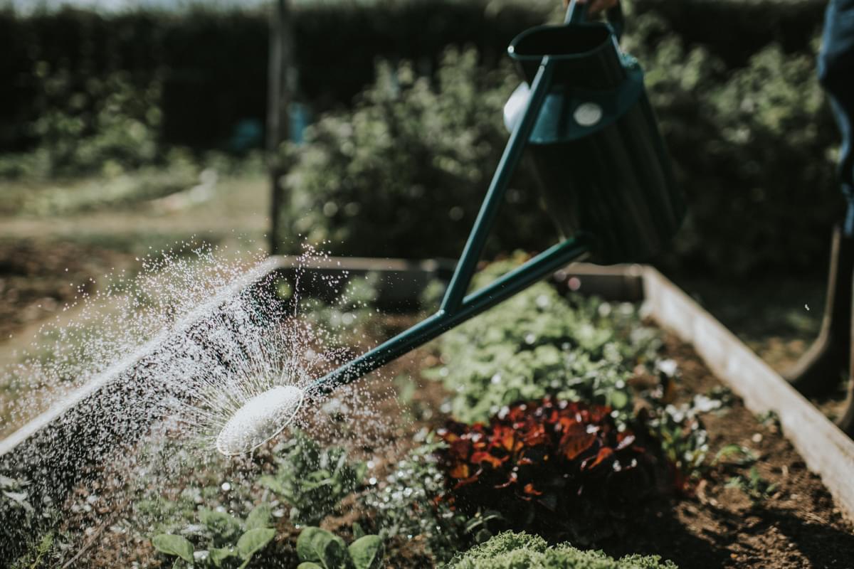 The Warley Fall - Green - Bedding Kit - One Gallon