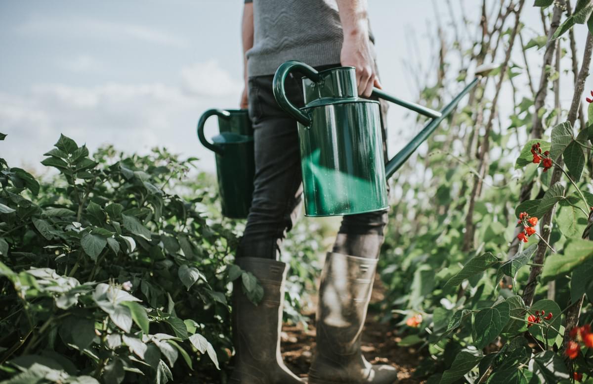 The Warley Fall - Green - Bedding Kit - Two Gallon