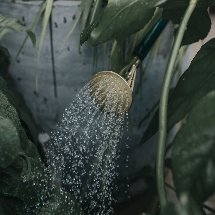 The Cradley Deluxe - Potting Kit - One & a Half Gallon