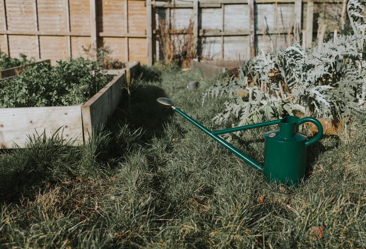The Warley Fall - Green - Potting Kit - One Gallon