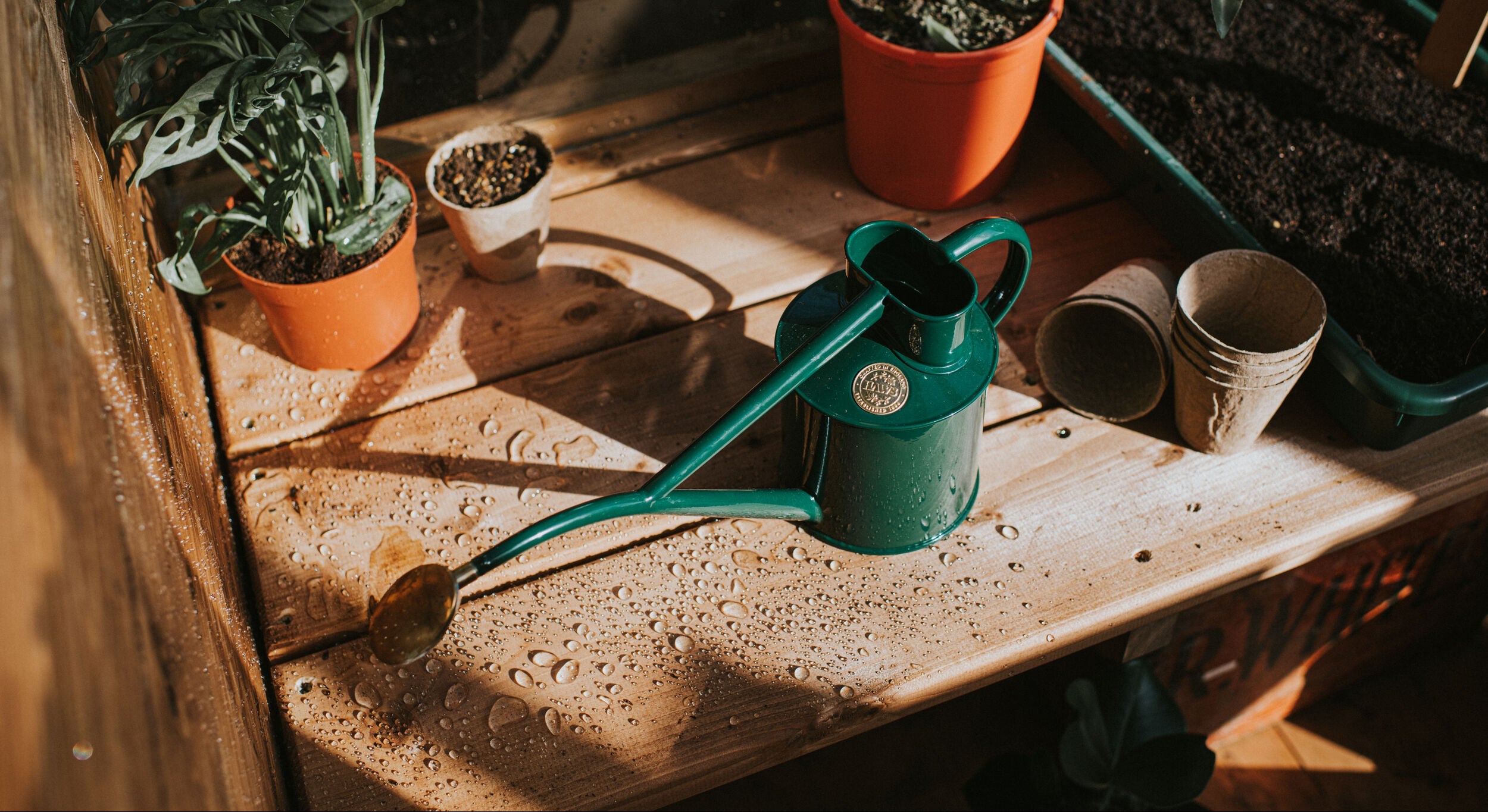 Green watering can on a wooden surface with potted plants and gardening tools.