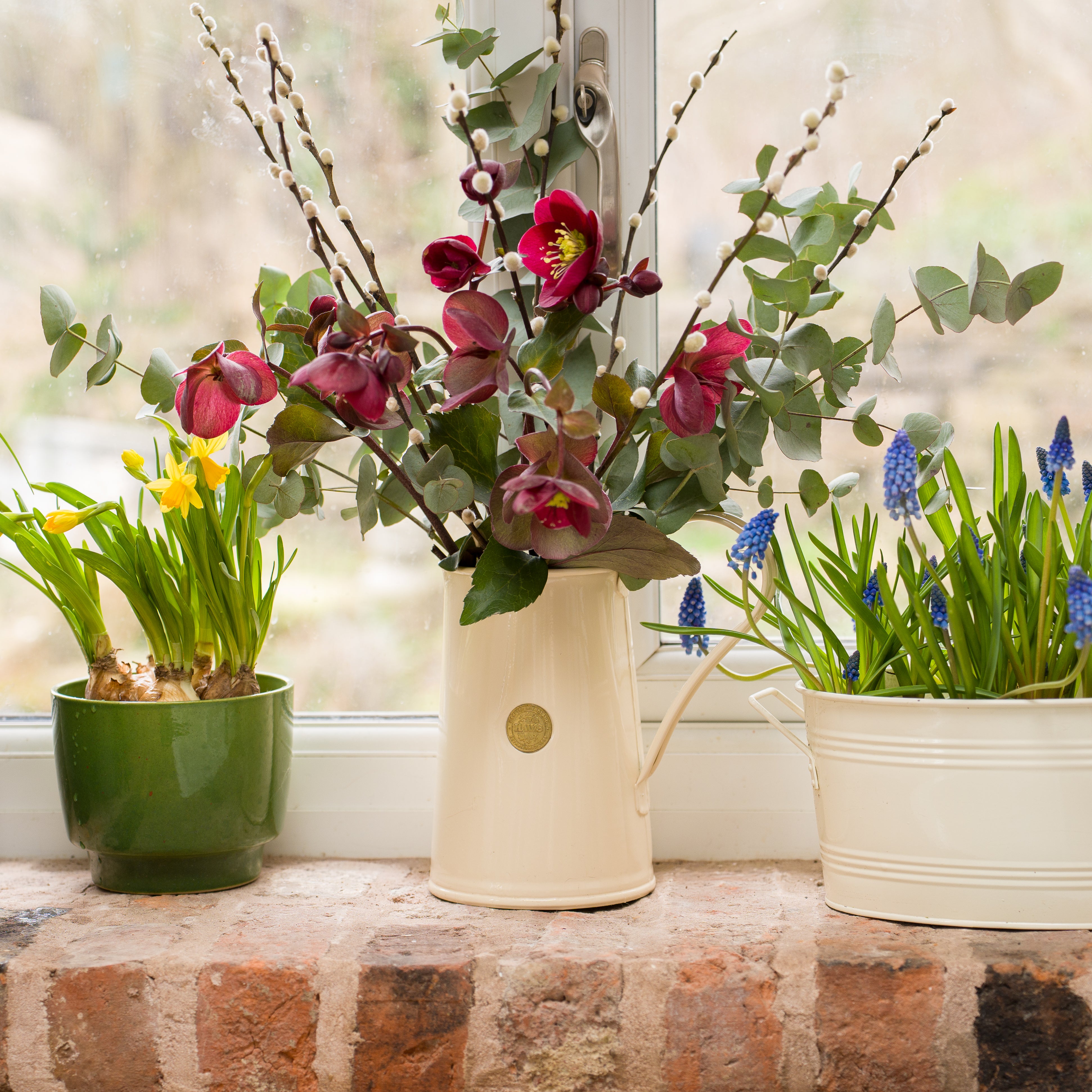 Decorative arrangement of season British flowers in a Haws jug with pots of spring bulbs on a brick windowsill.