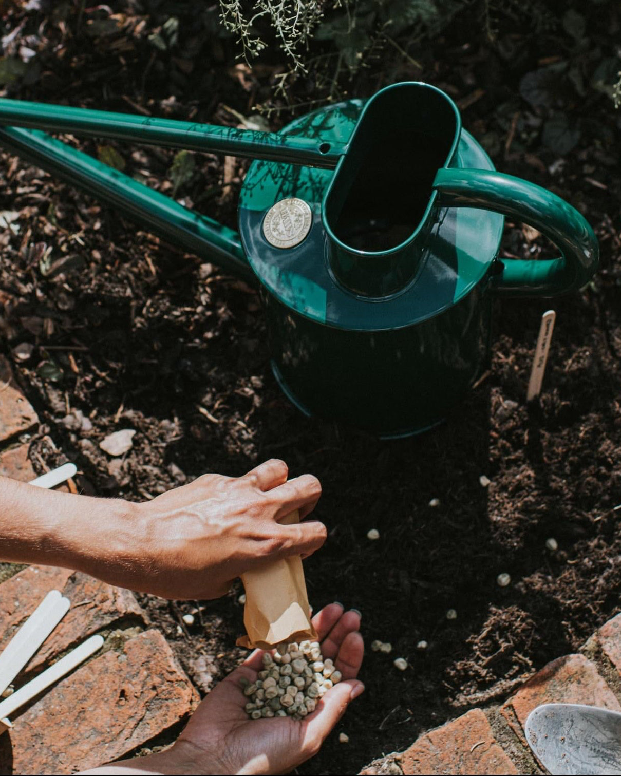 Person using a green Haws watering can to water plants in a garden.
