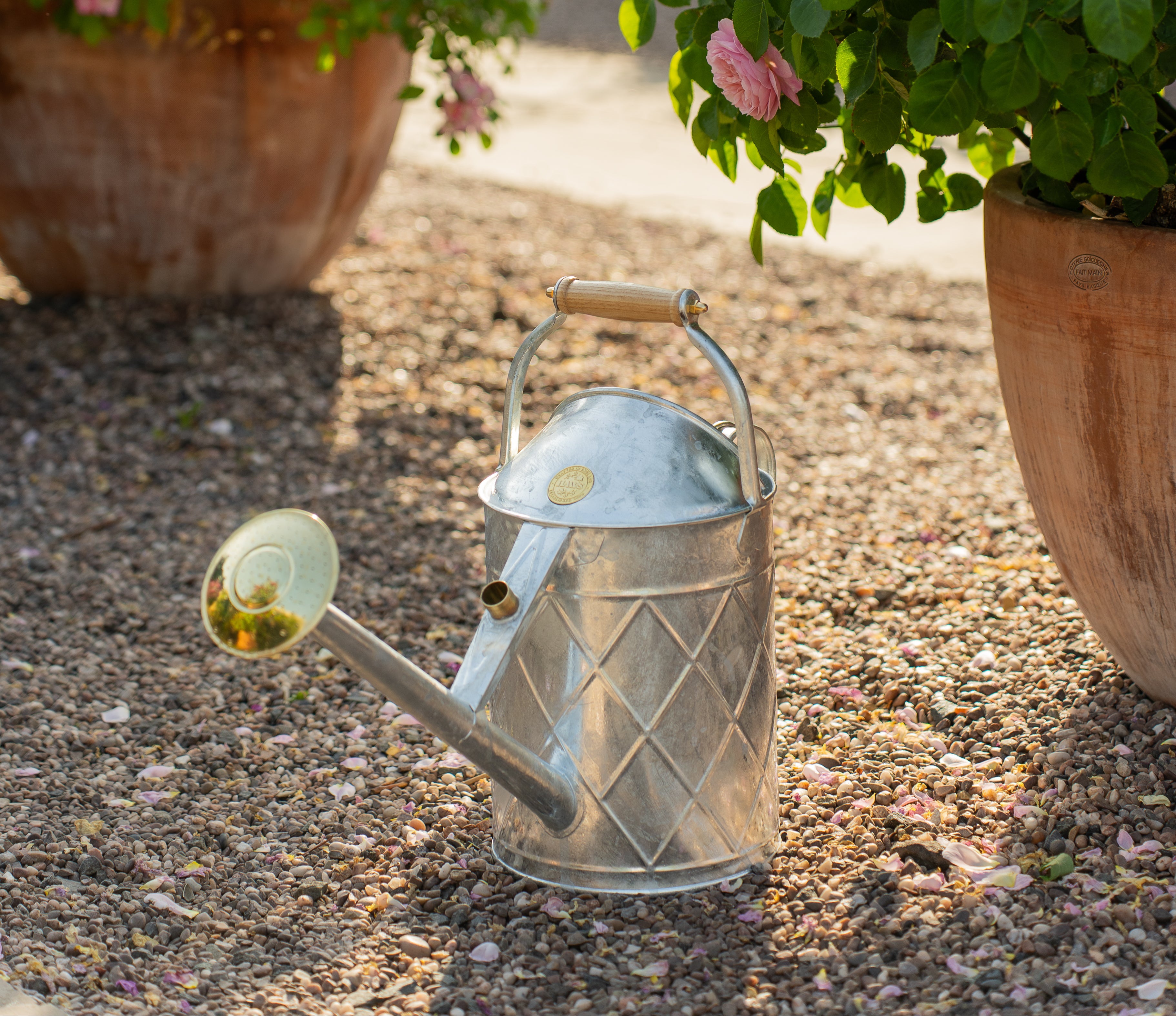 Galvanised steelHaws  watering can on a gravel surfaced near a patio with potted roses in the background