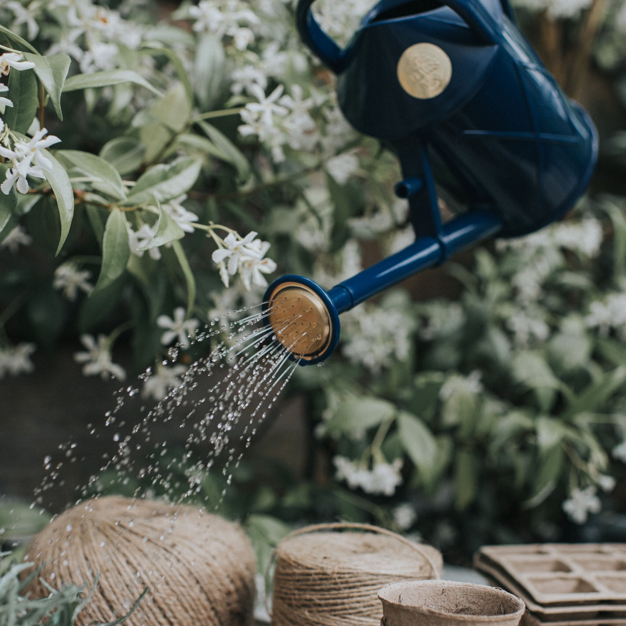 Bartley Burbler Plastic Rose - Blue