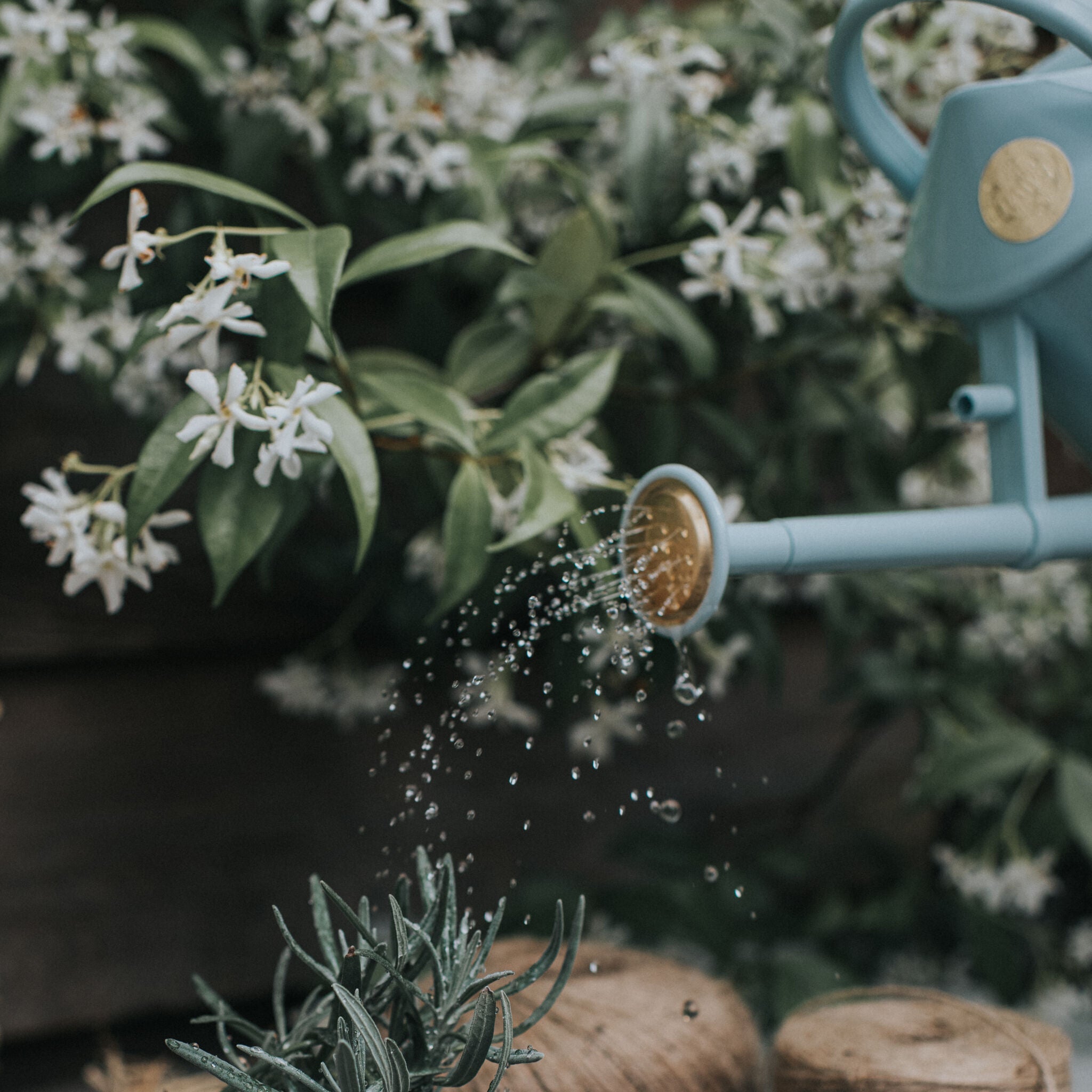 Bartley Burbler Plastic Rose  - Duck Egg Blue