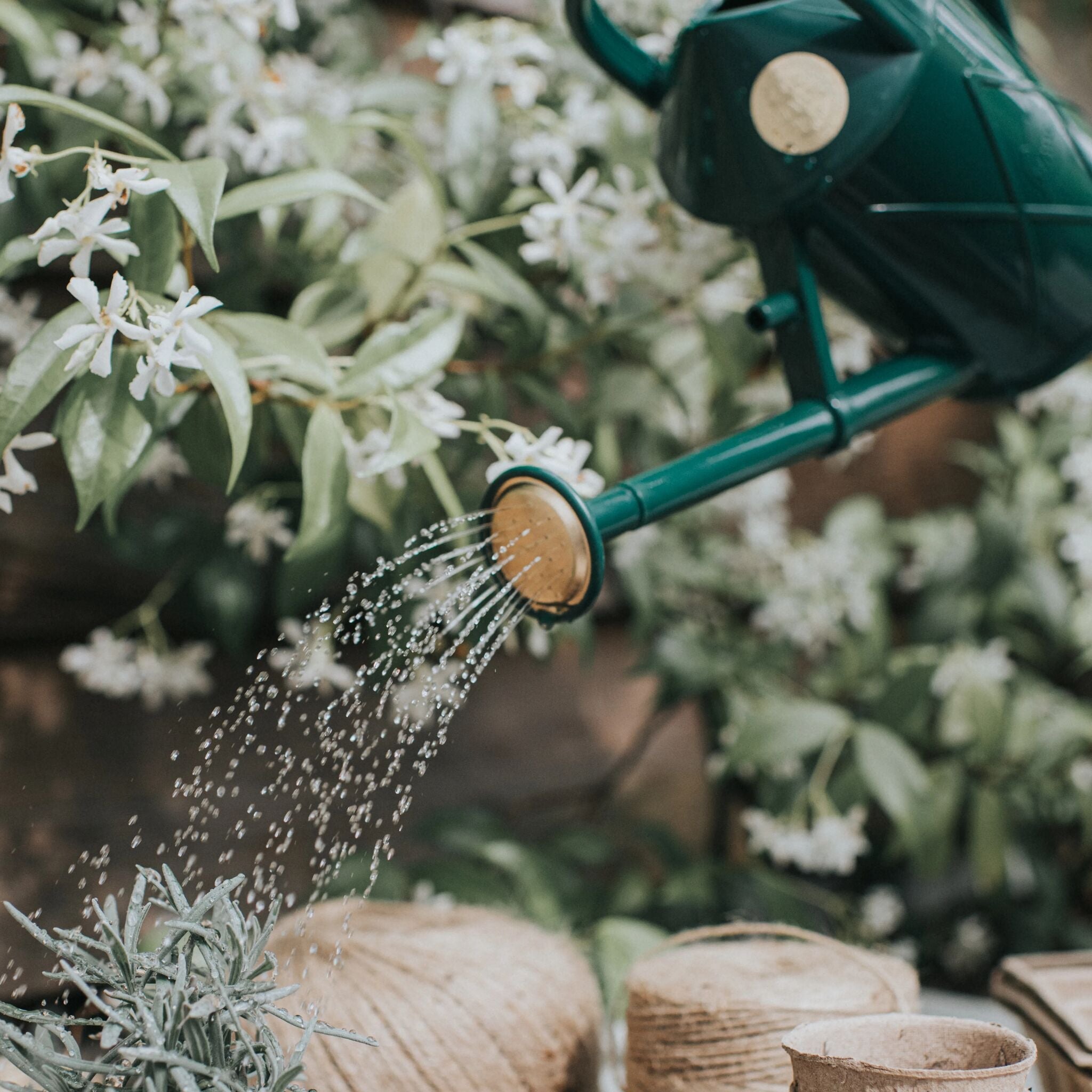 Bartley Burbler Plastic Rose - Green