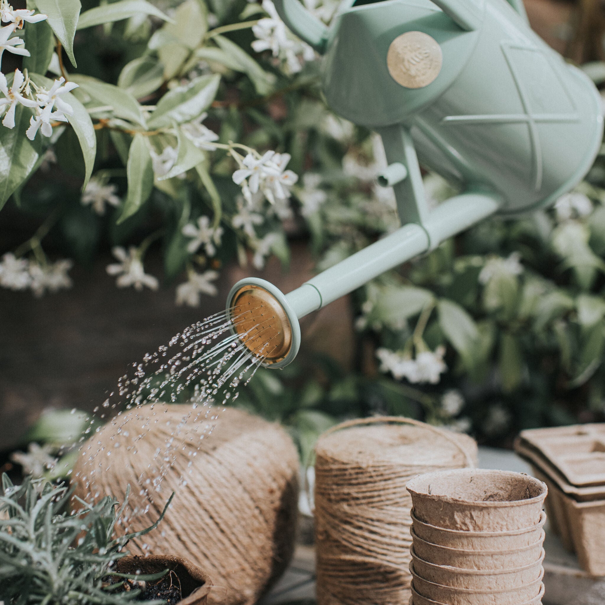 Bartley Burbler Plastic Rose - Sage