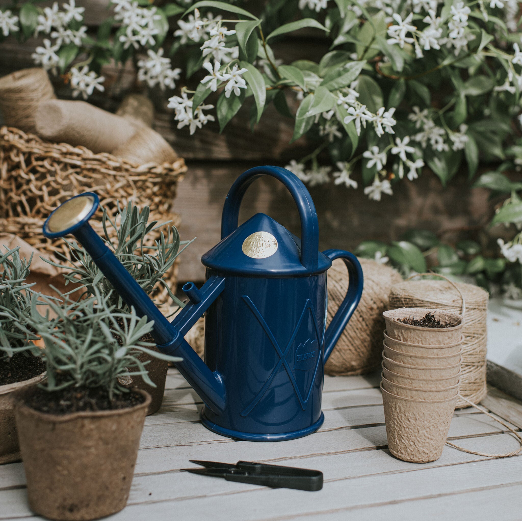 The Bartley Burbler Blue - Two Pint