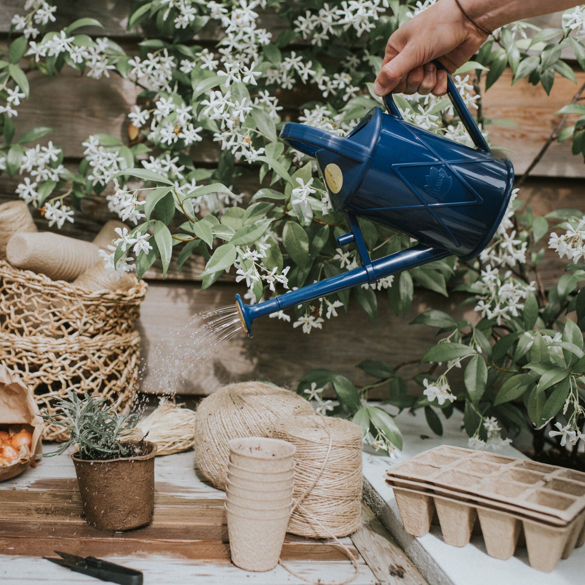 The Bartley Burbler Blue - Two Pint