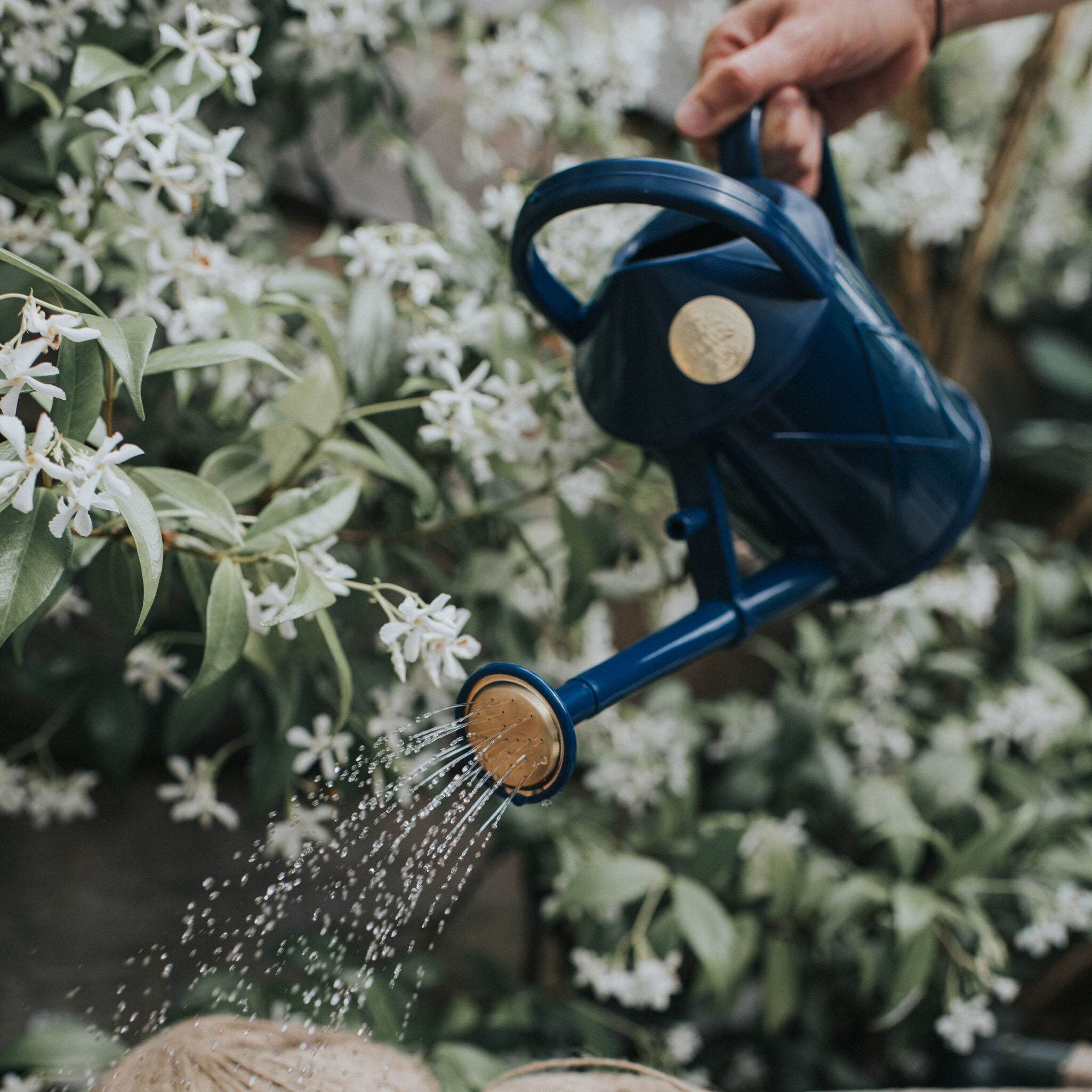 The Bartley Burbler Blue - Two Pint