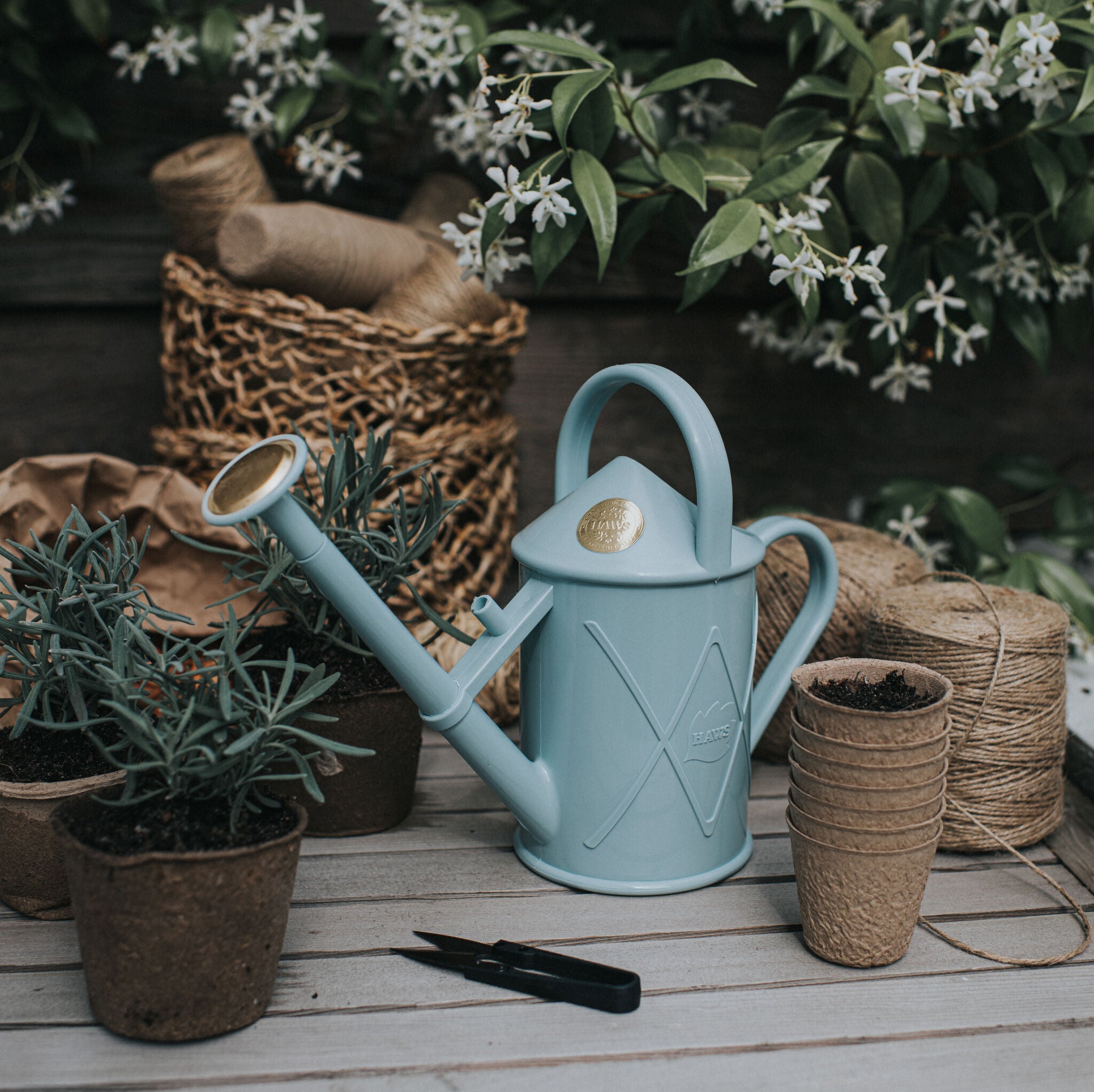 The Bartley Burbler Duck Egg Blue - Two Pint