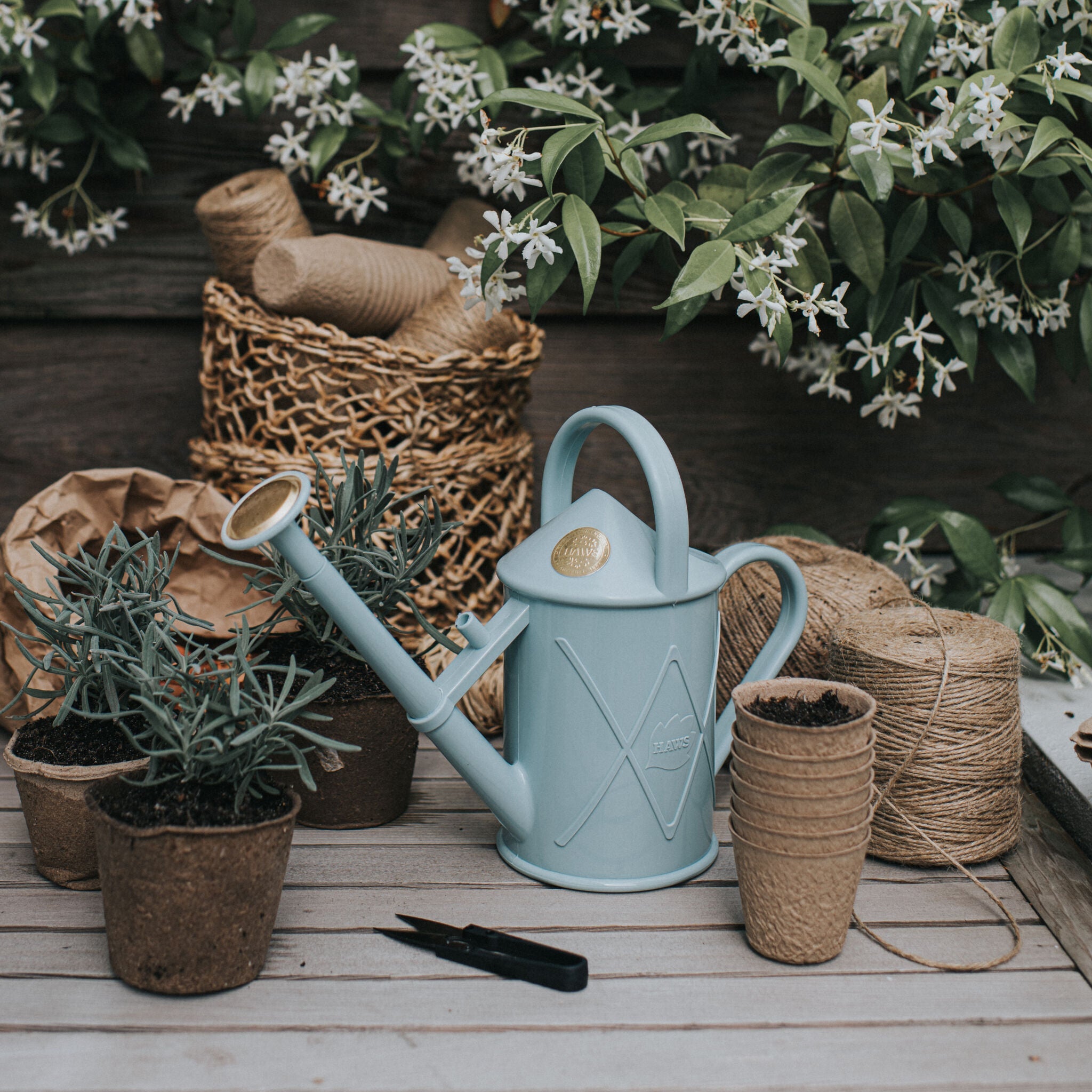 The Bartley Burbler Duck Egg Blue - Two Pint