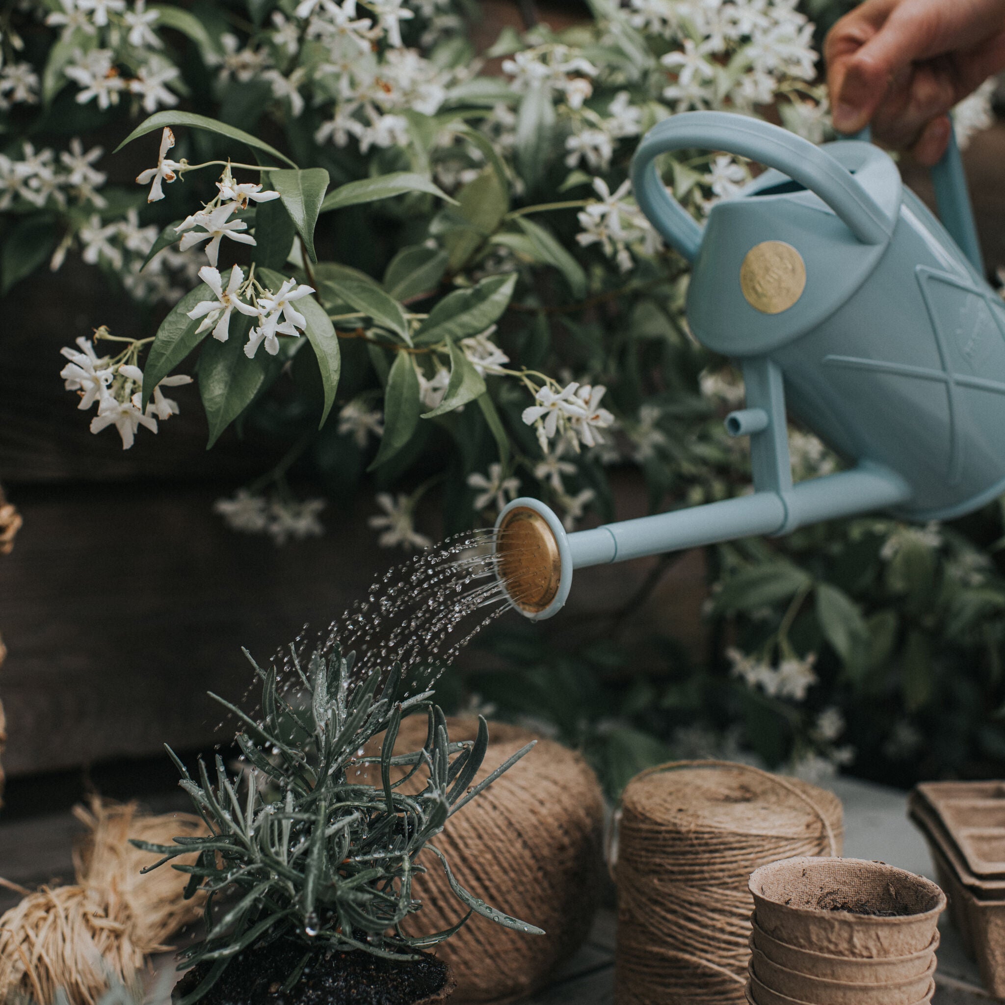 The Bartley Burbler Duck Egg Blue - Two Pint