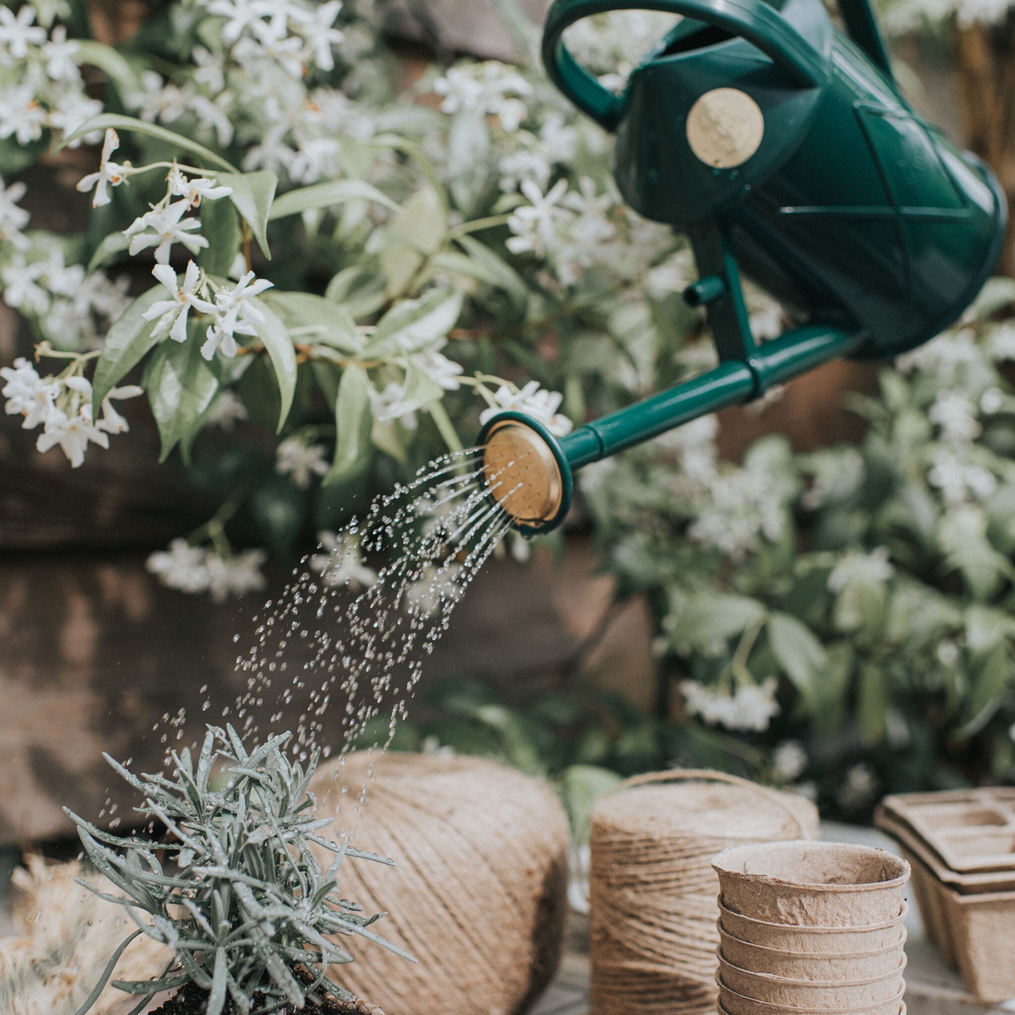 The Bartley Burbler Green - Two Pint