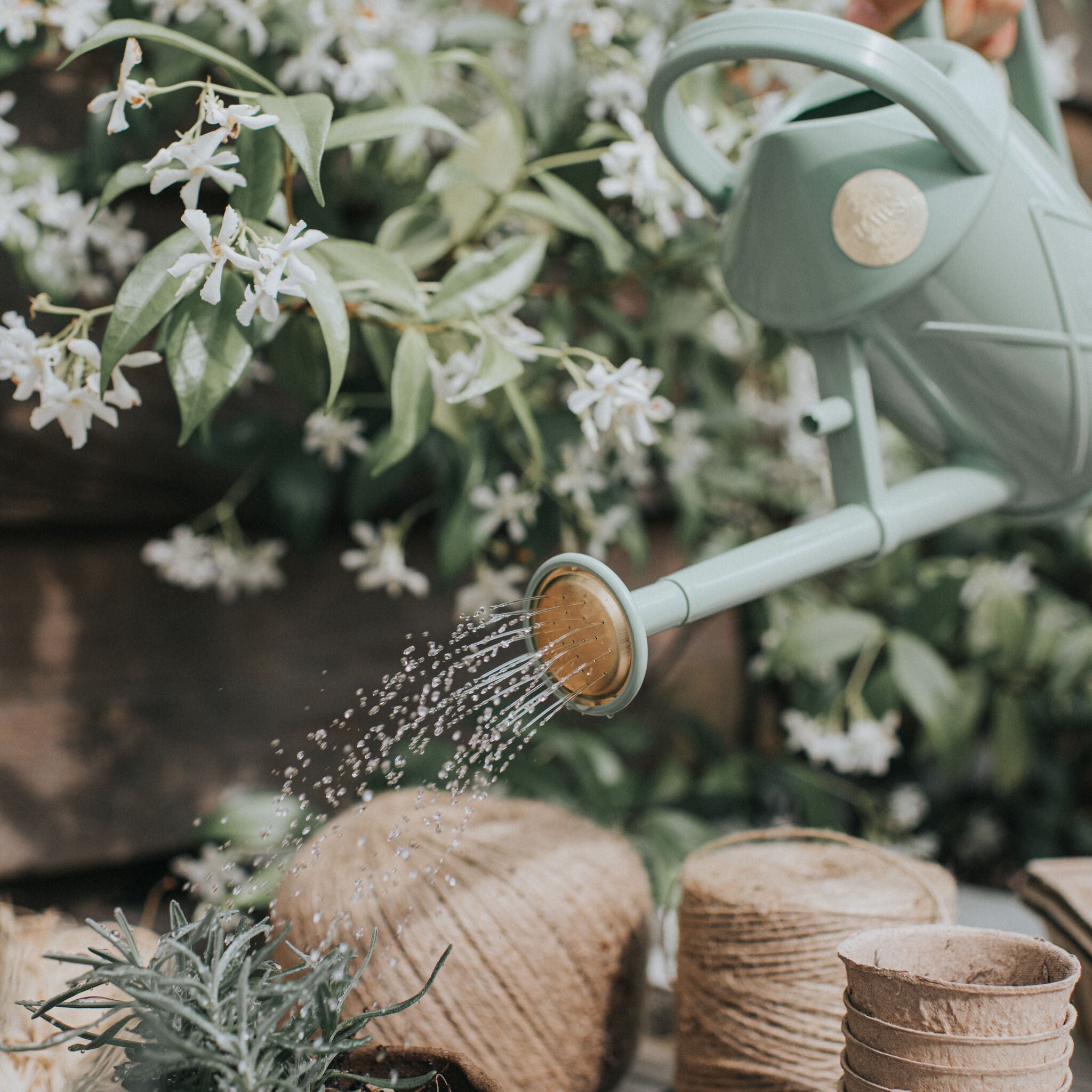 The Bartley Burbler Sage - Two Pint