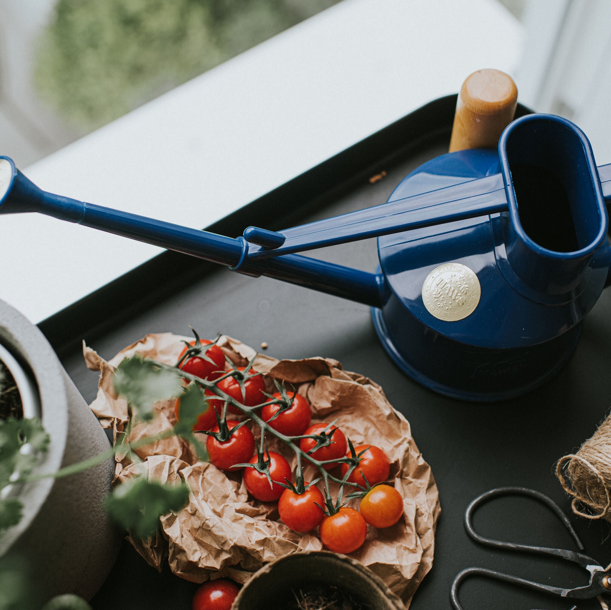 The Langley Sprinkler Blue - One Pint