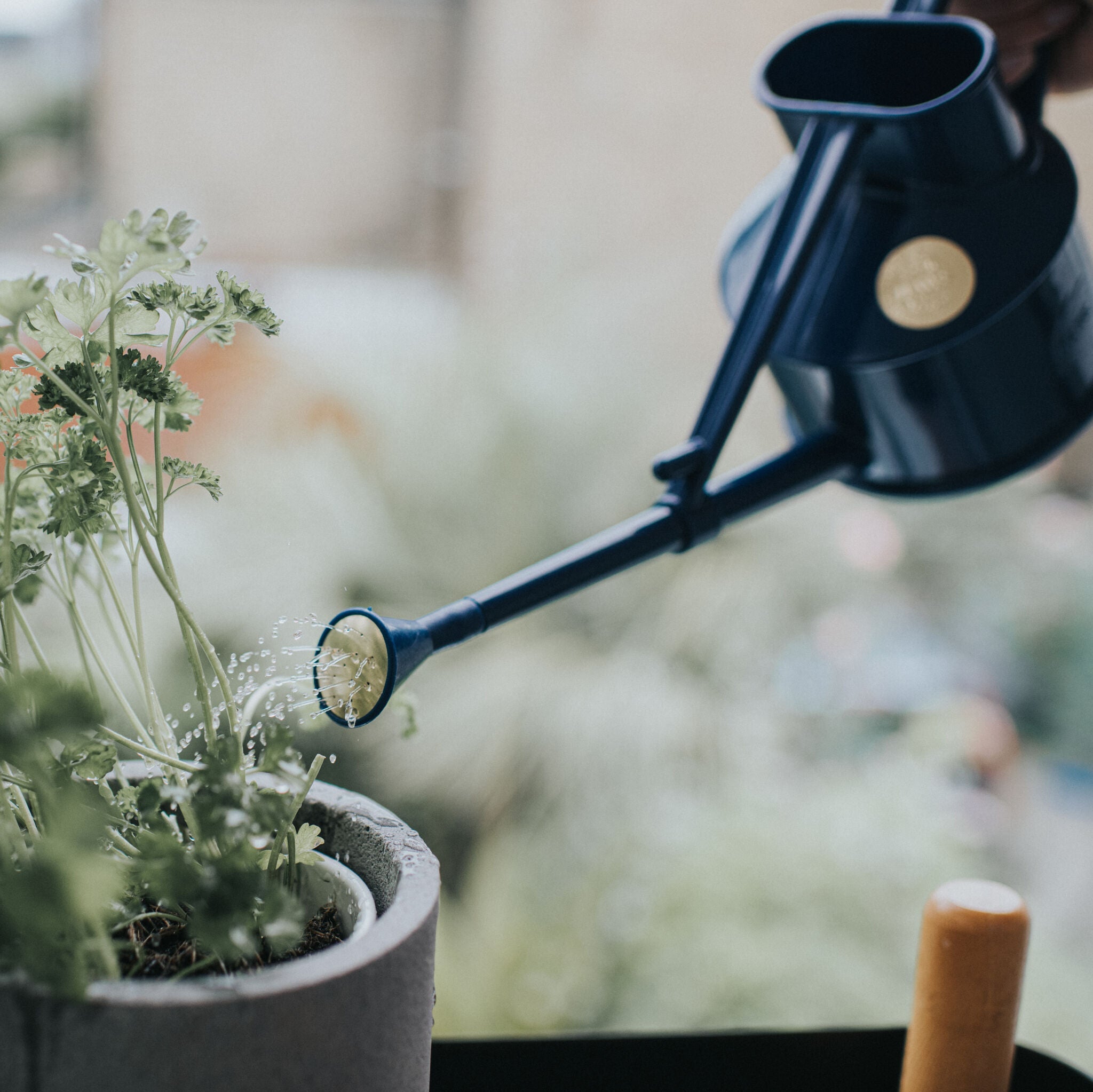 The Langley Sprinkler Blue - One Pint