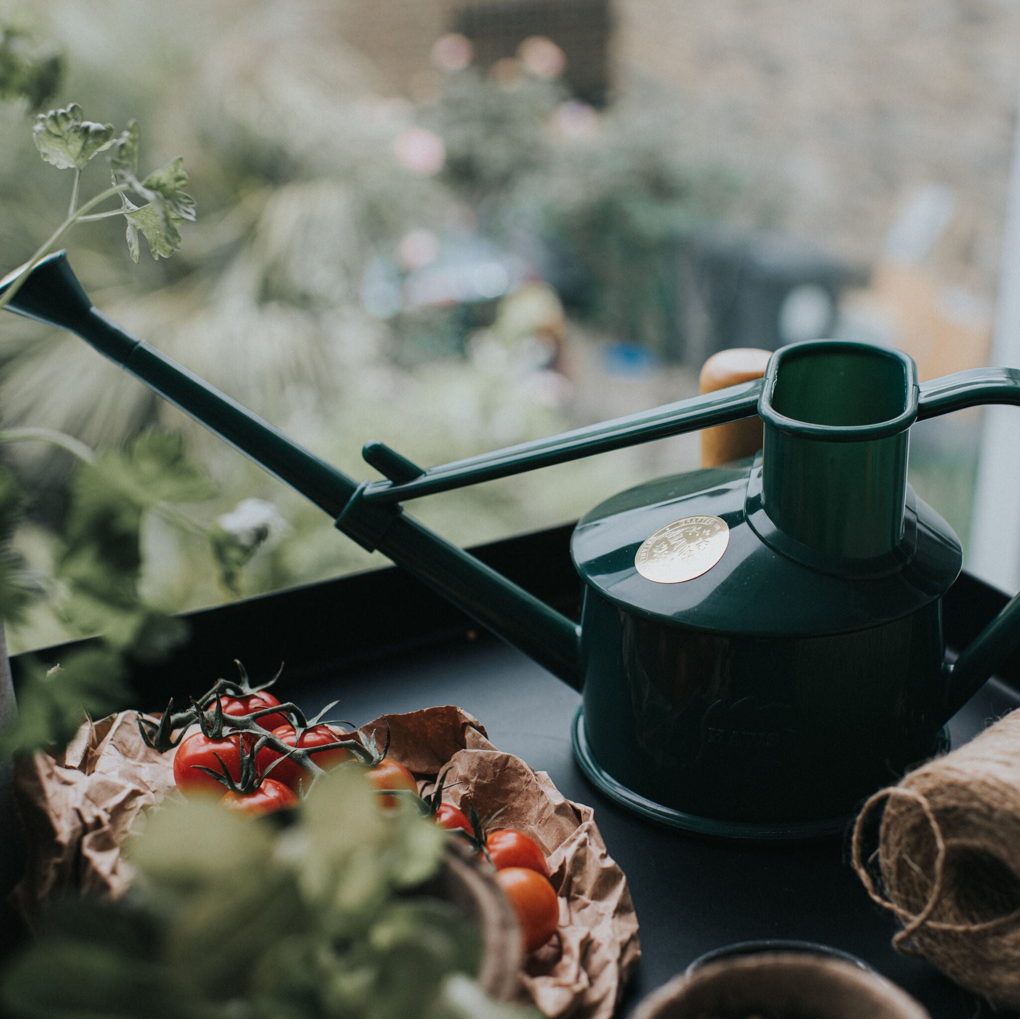 The Langley Sprinkler Green - One Pint