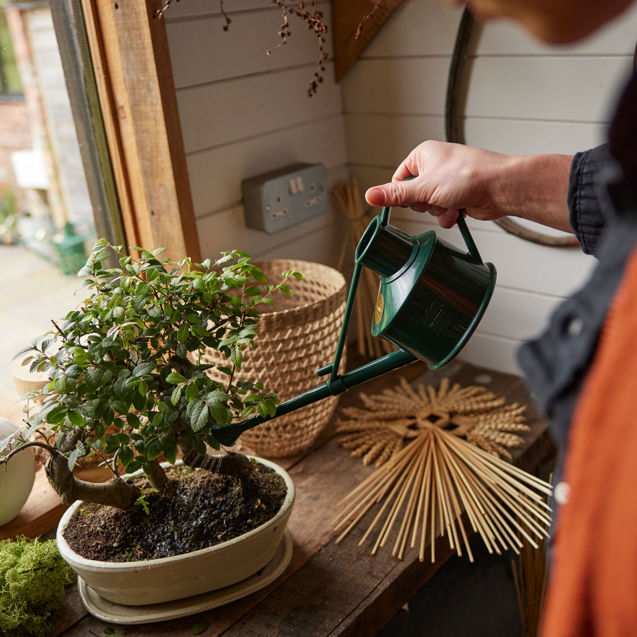The Langley Sprinkler Green - One Pint