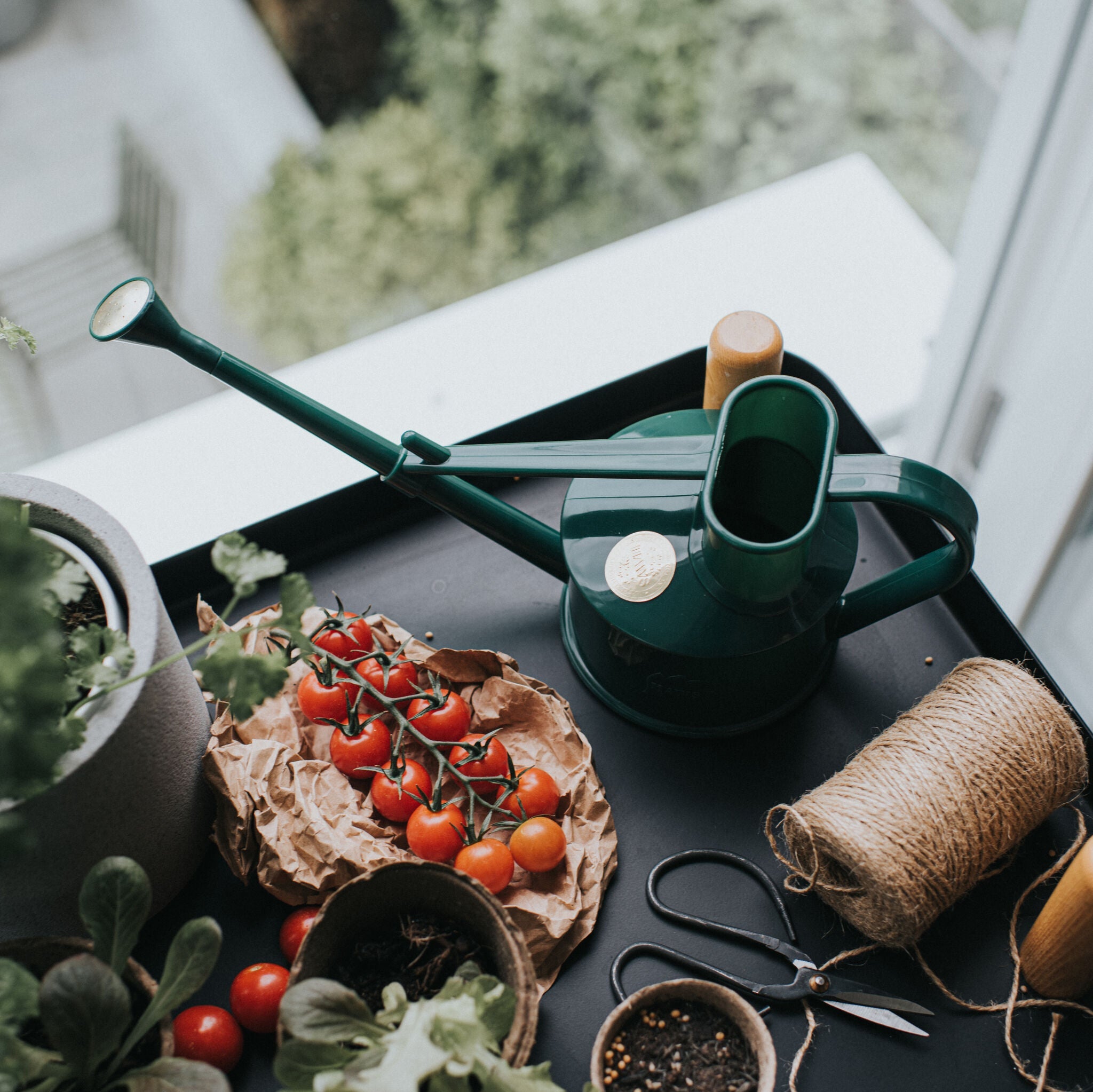 The Langley Sprinkler Green - One Pint