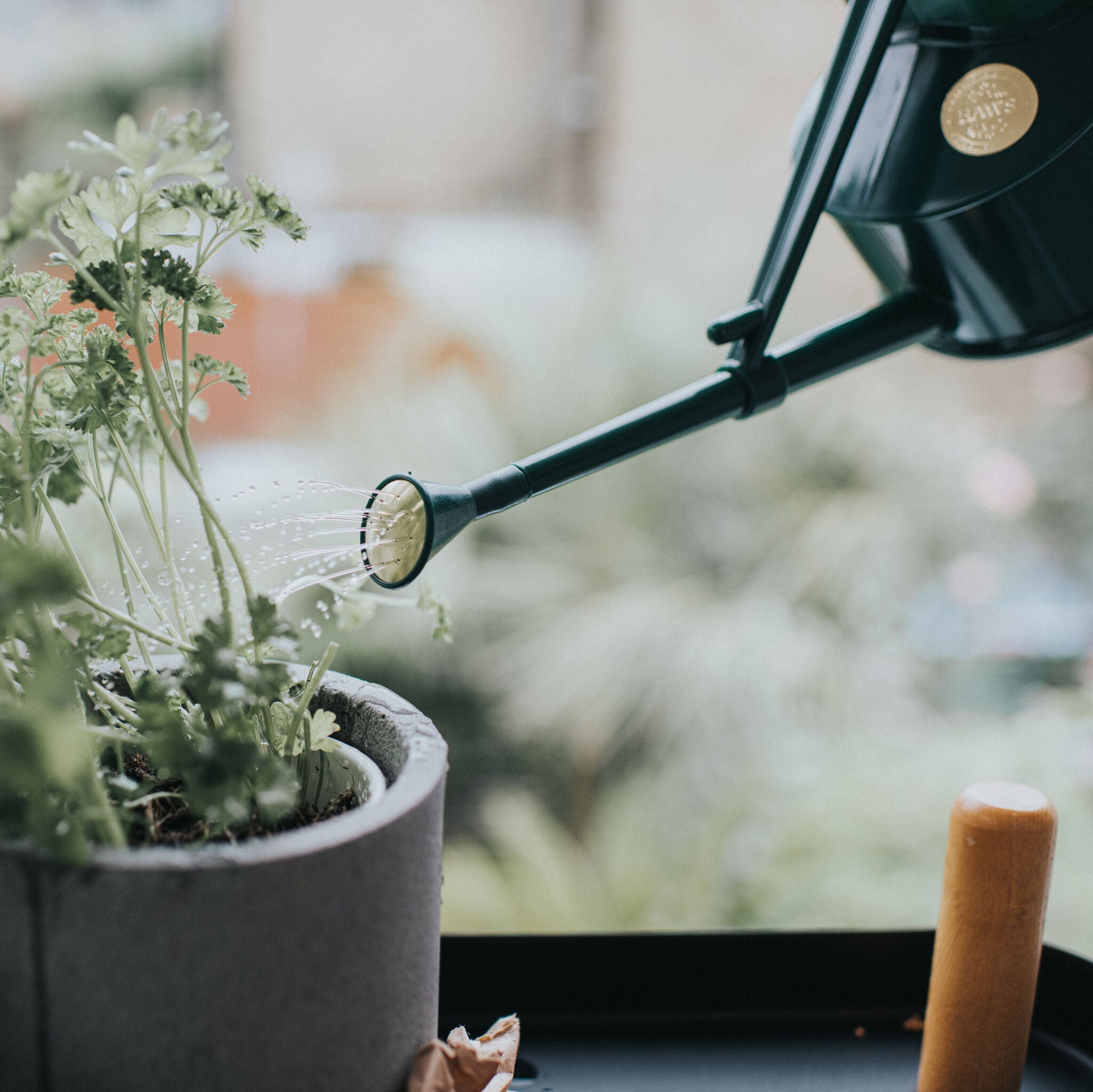 The Langley Sprinkler Green - One Pint
