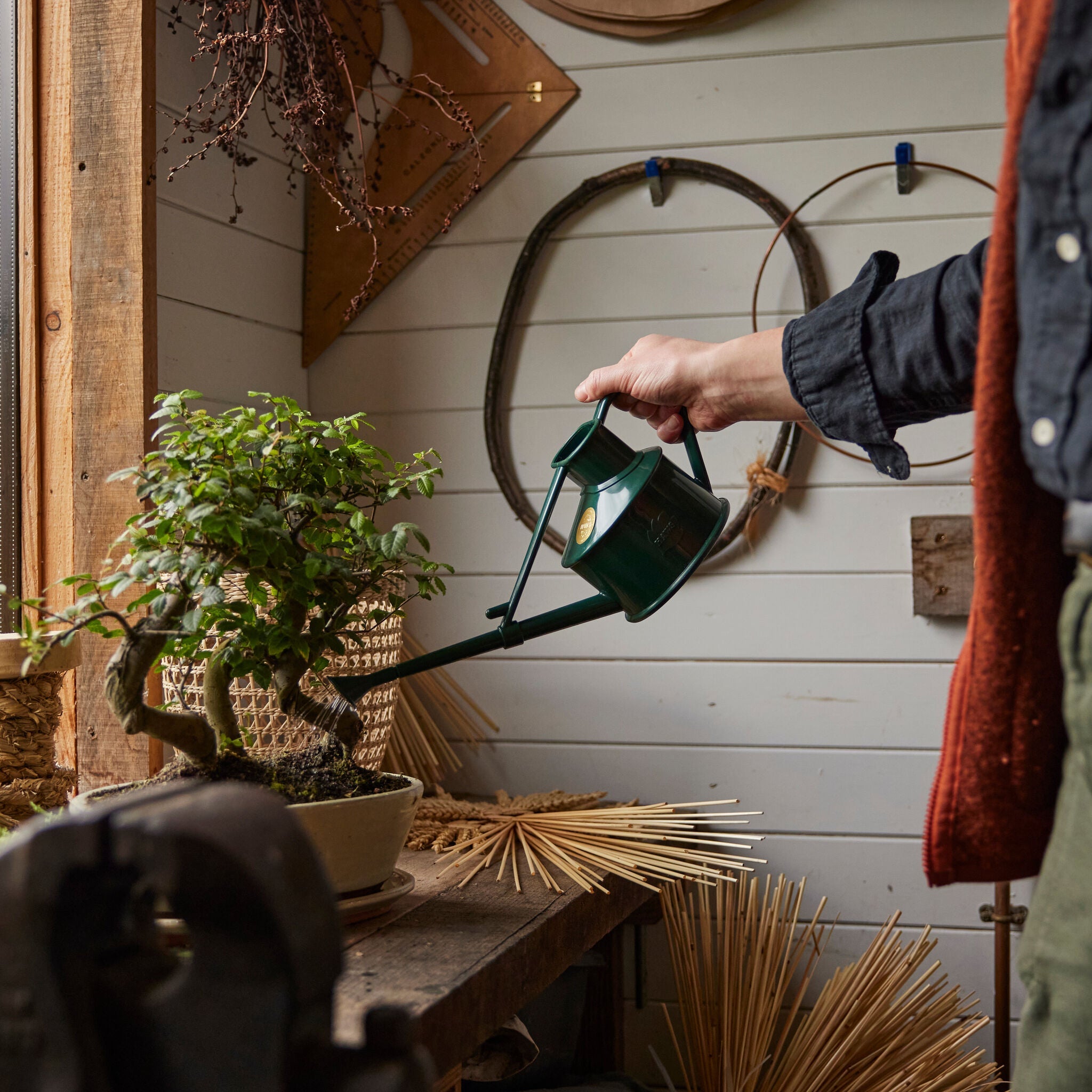 The Langley Sprinkler Green - One Pint