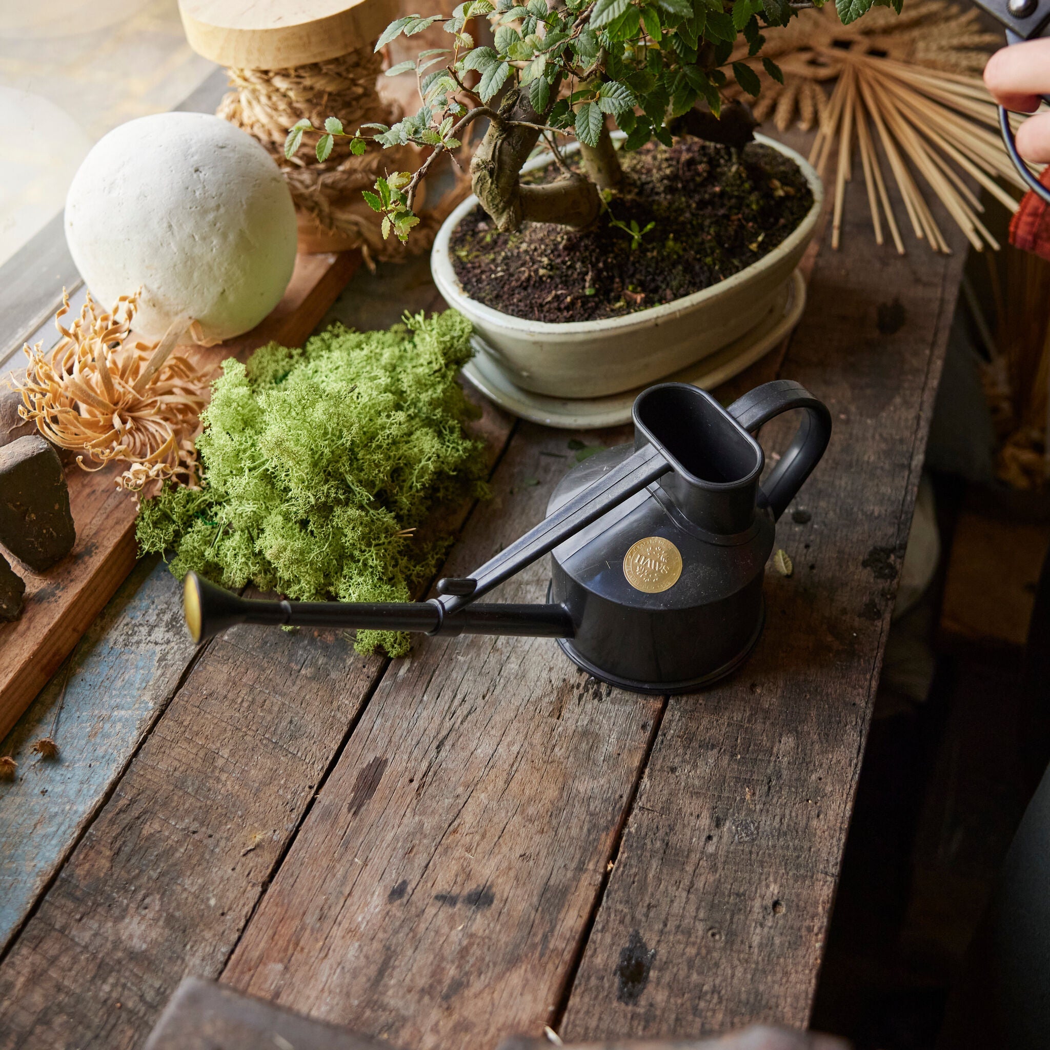 The Langley Sprinkler Recycled Black - One Pint