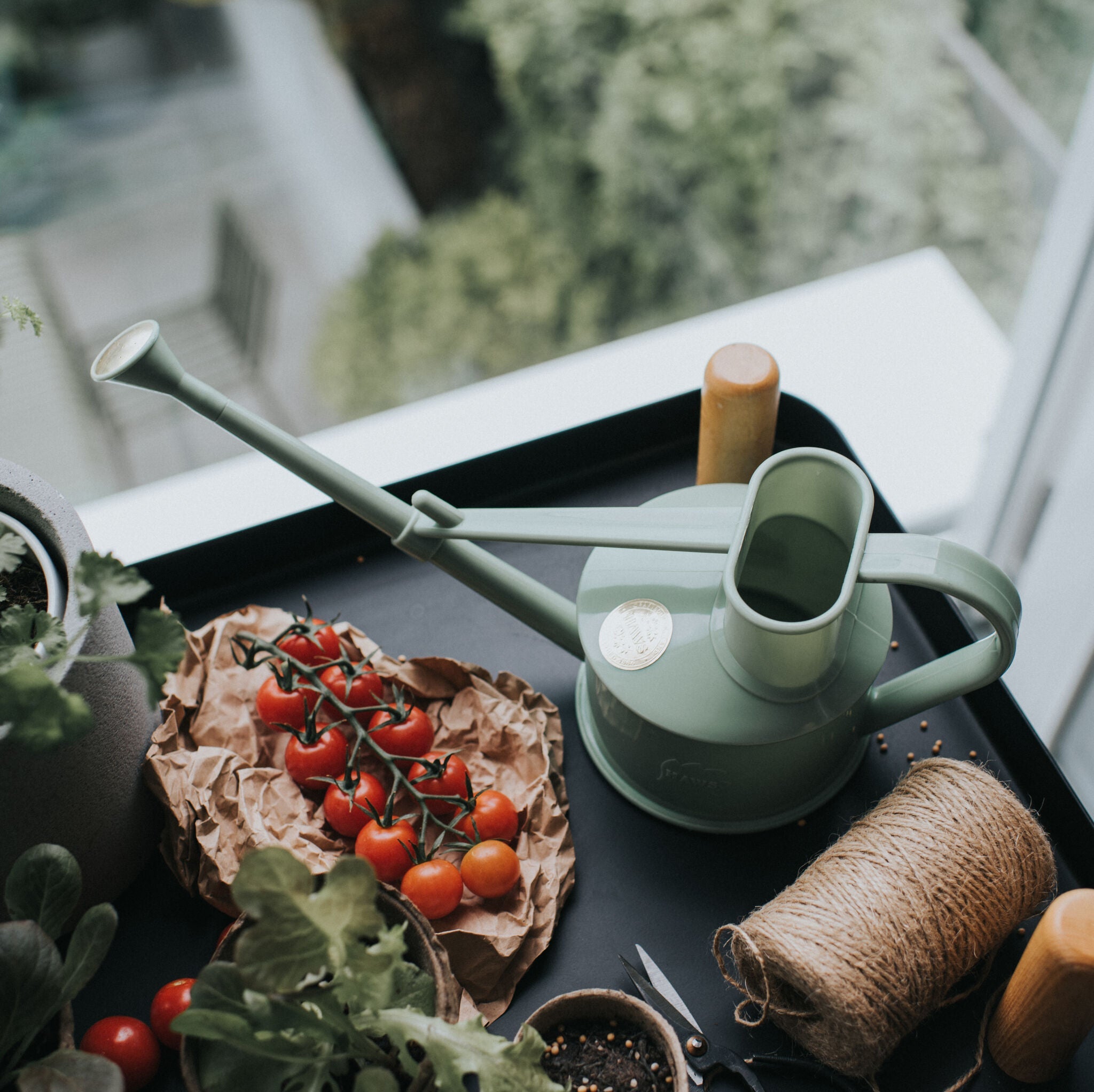 The Langley Sprinkler Sage - One Pint