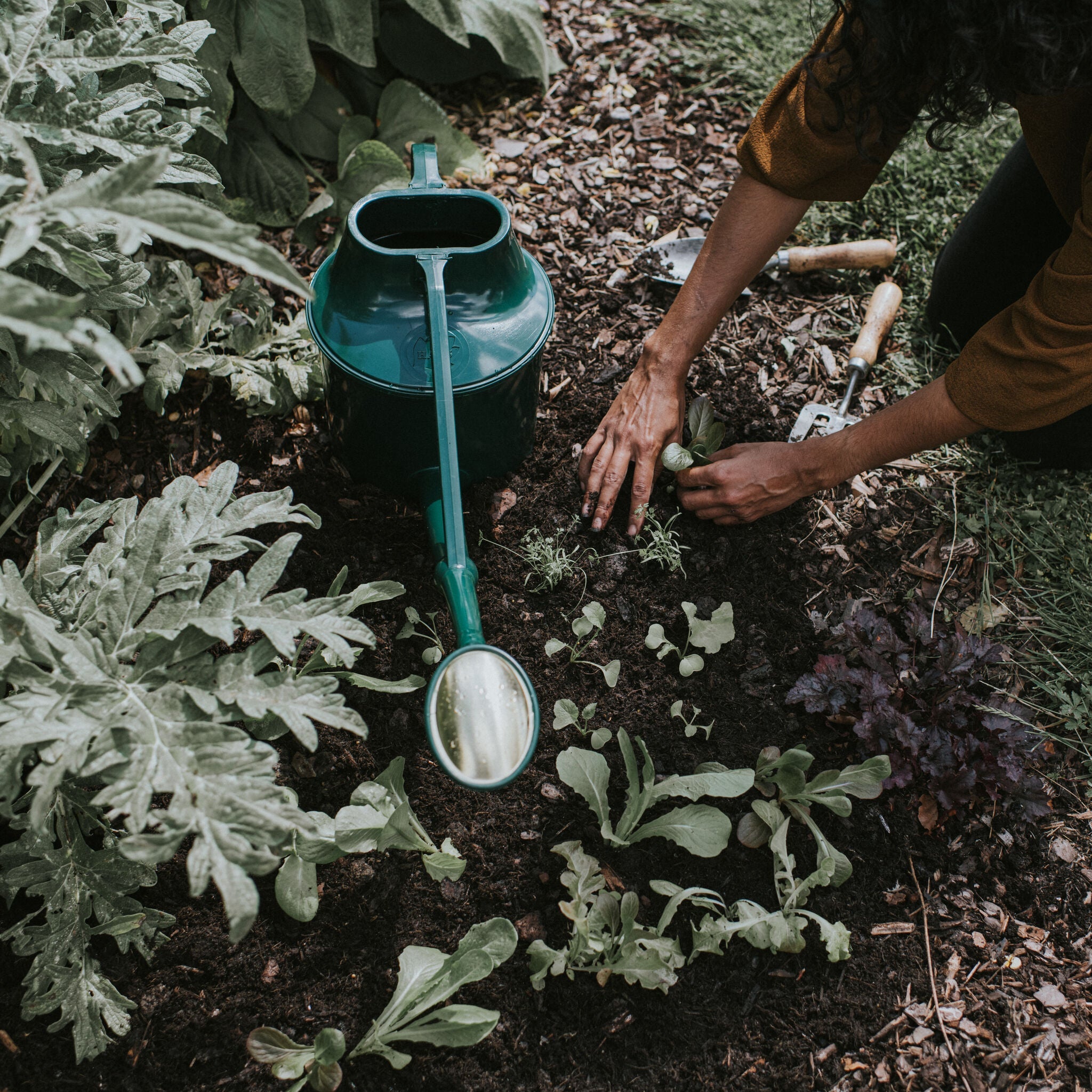 The Cradley Cascader Green - One & a Half Gallon