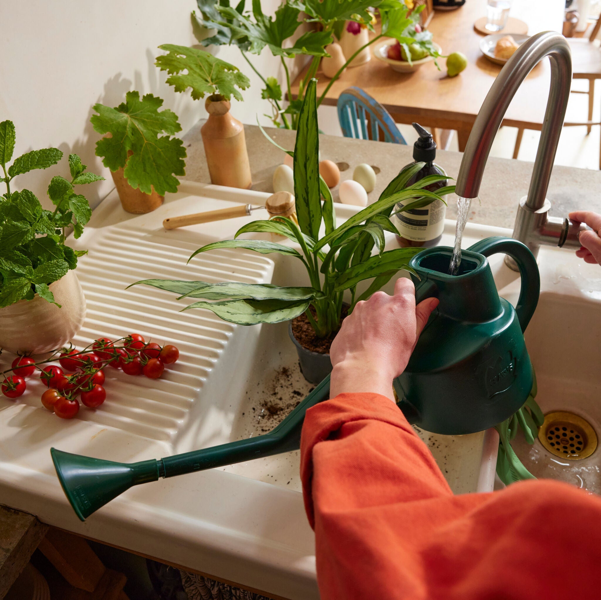 The Sutton Splash Green - Four Pint