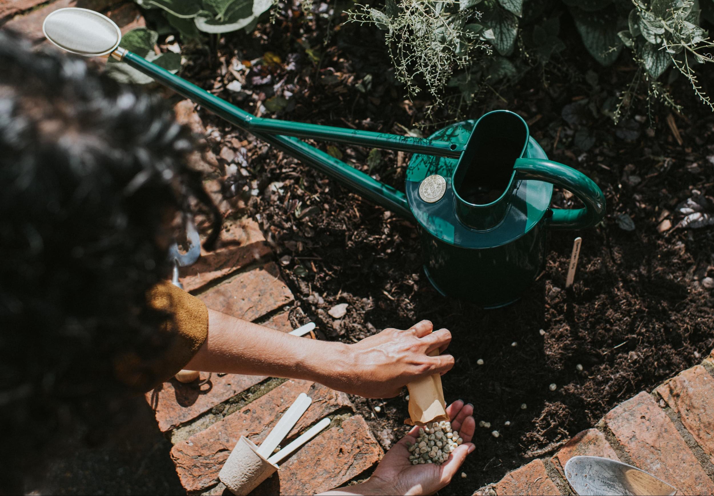 Person using a green Haws watering can to water plants in a garden.