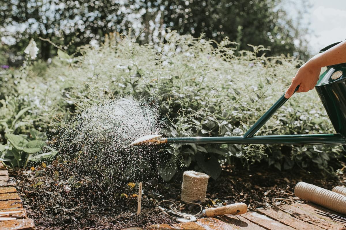 The Warley Fall - Little and Large