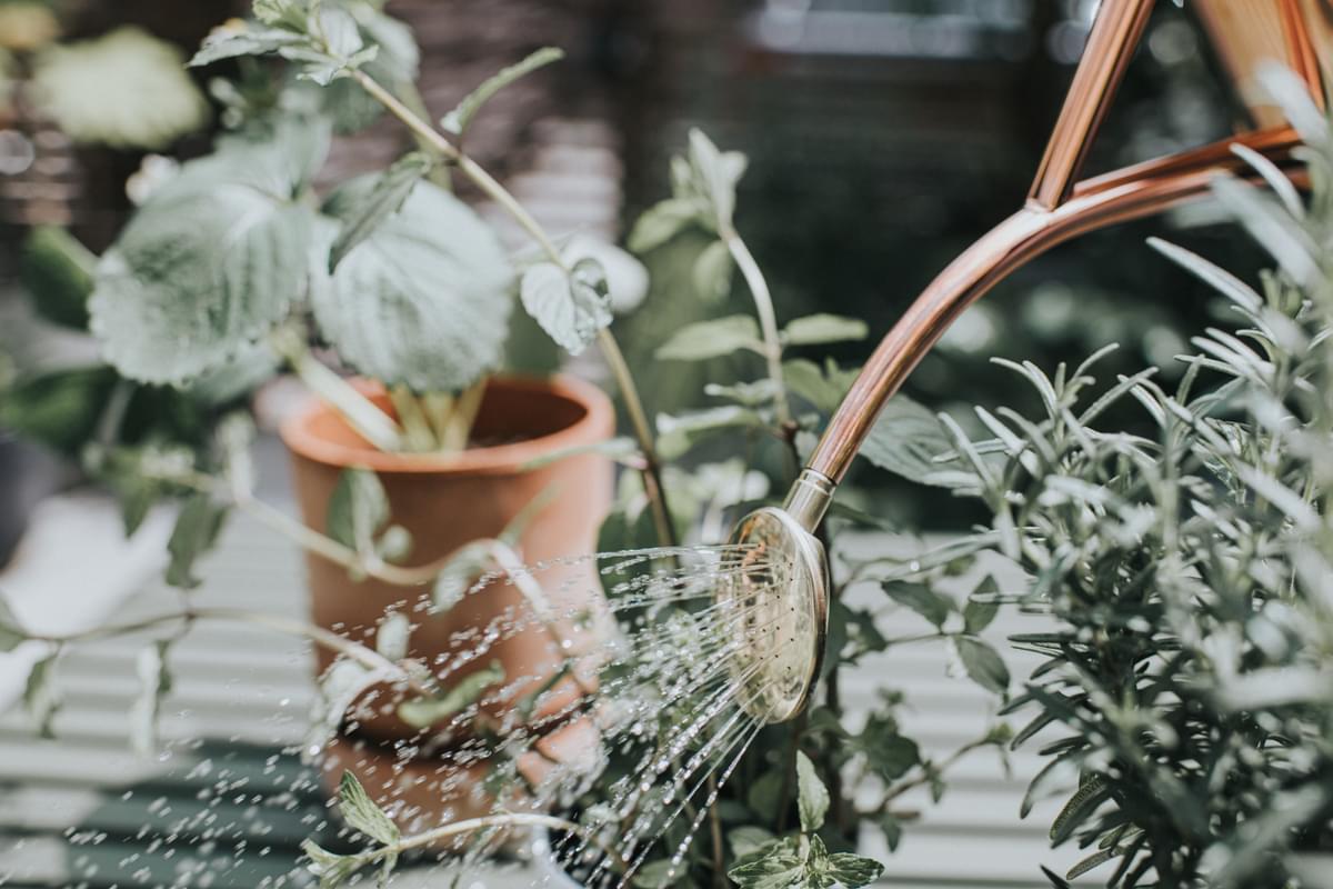 Copper Rowley Ripple & Copper Smethwick Spritzer UK Haws Watering Cans