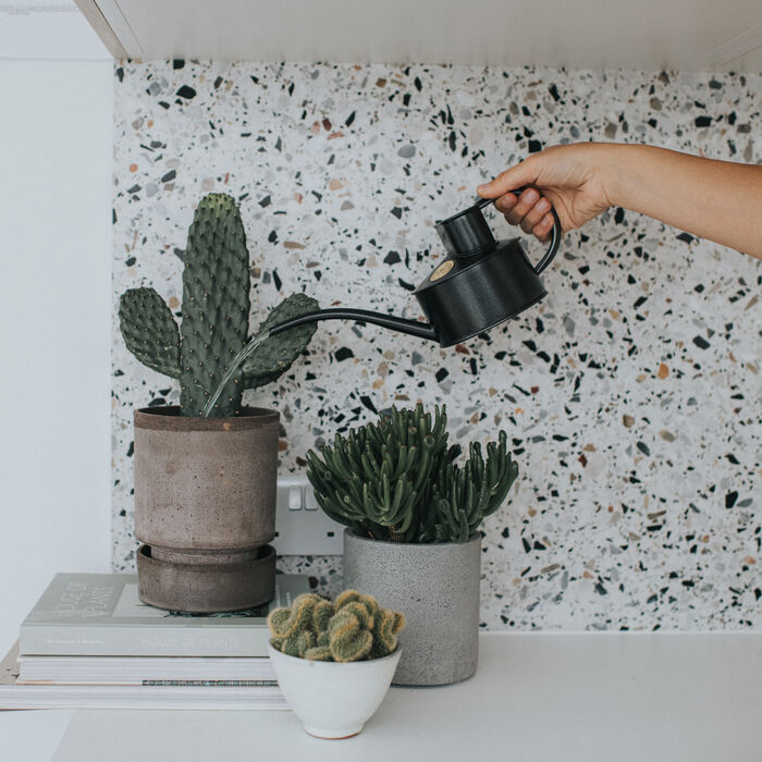 The Fazeley Flow - Plants and Flowers Set - Graphite & Cream - One Pint