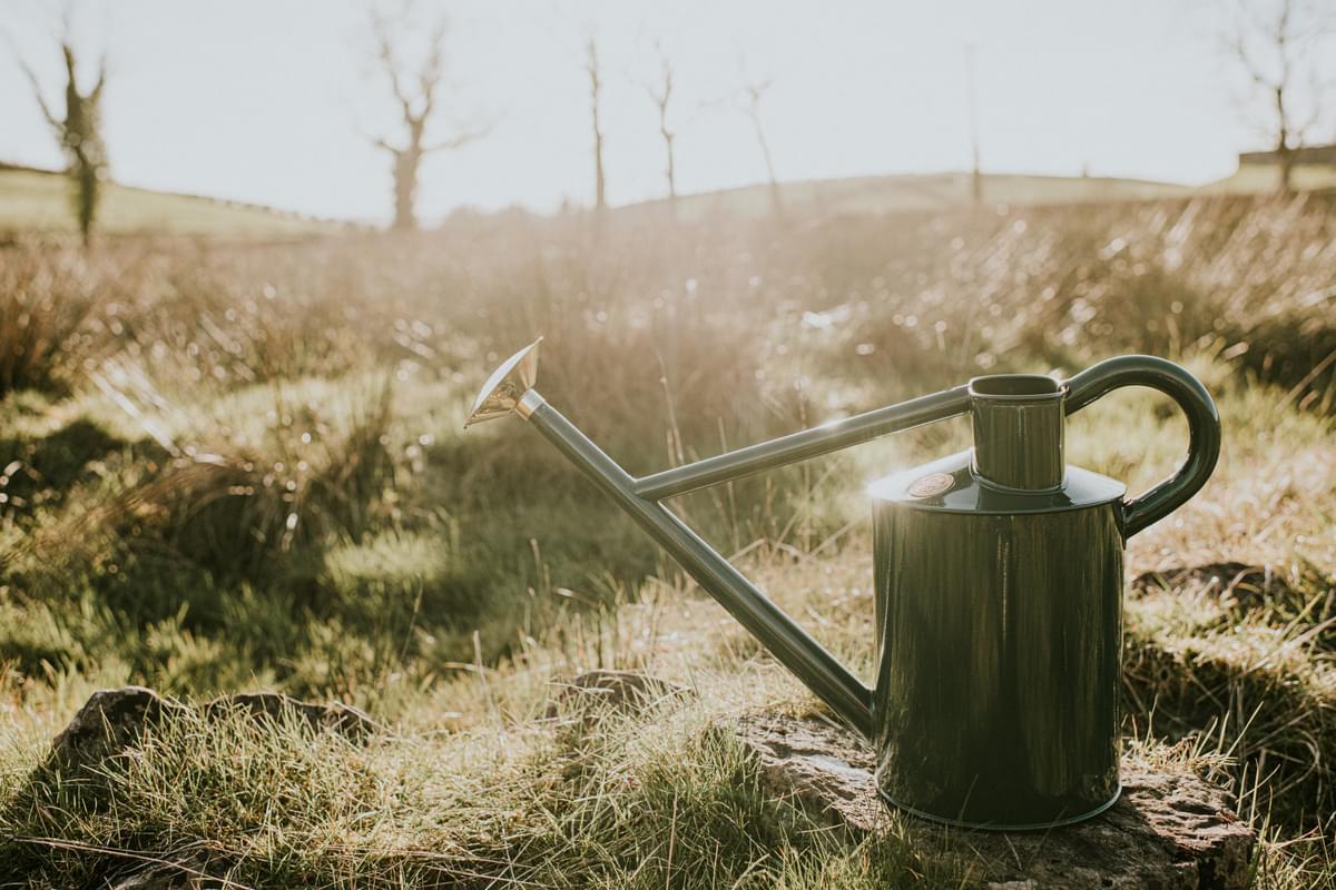 The Bearwood Brook - Balanced Pair - Two Gallon
