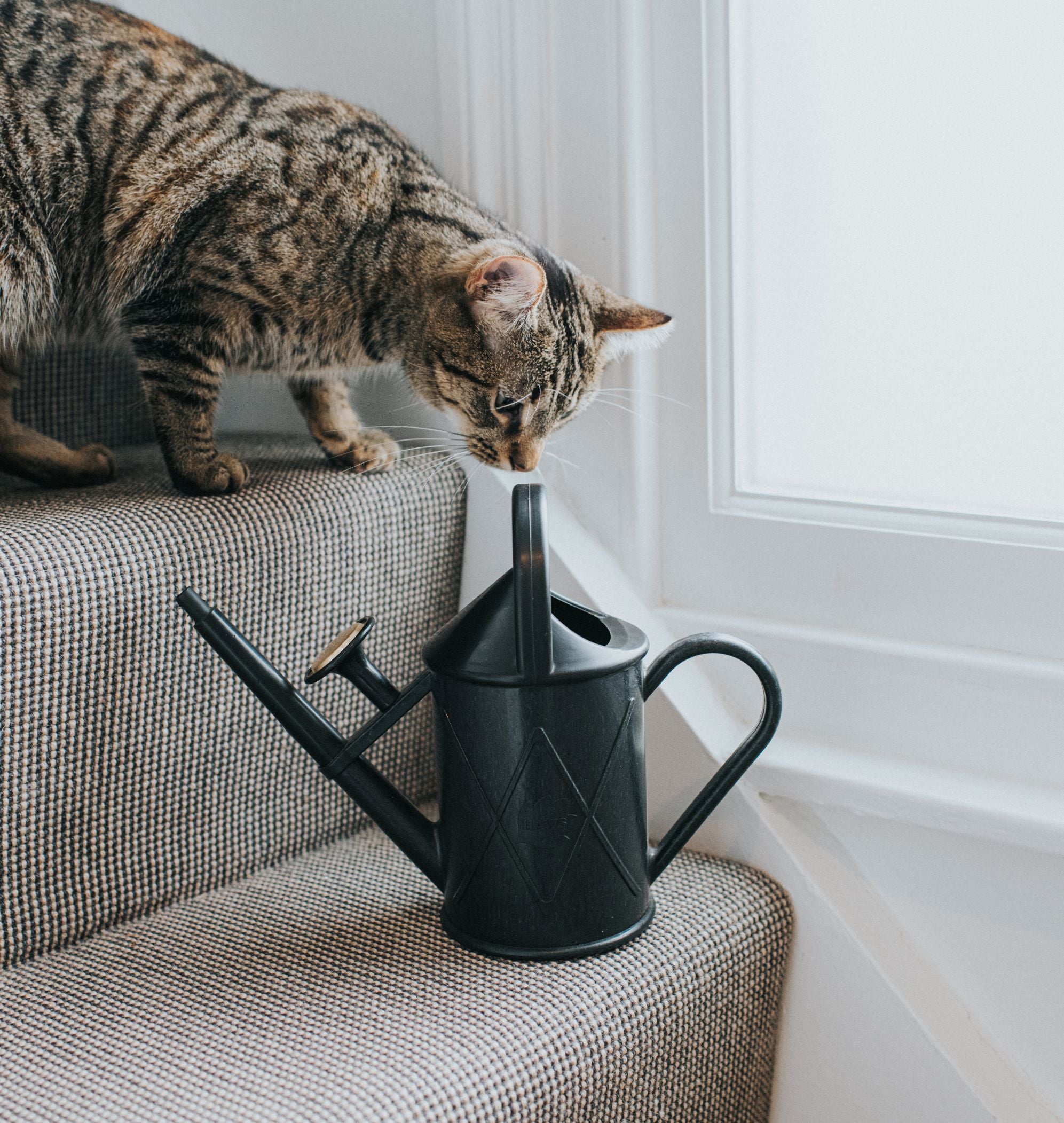 The Bartley Burbler Recycled Black - Two Pint