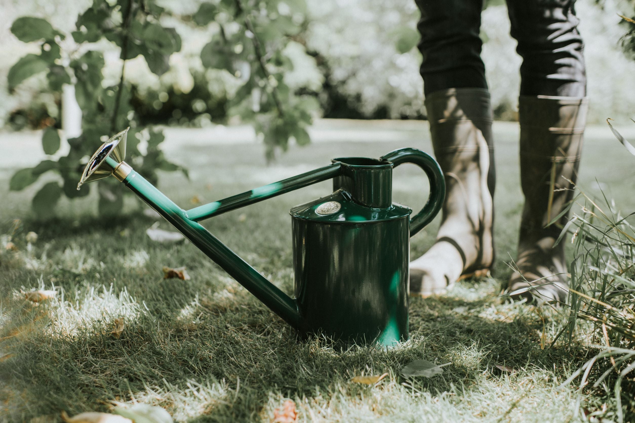 The Bearwood Brook - Balanced Pair - One Gallon