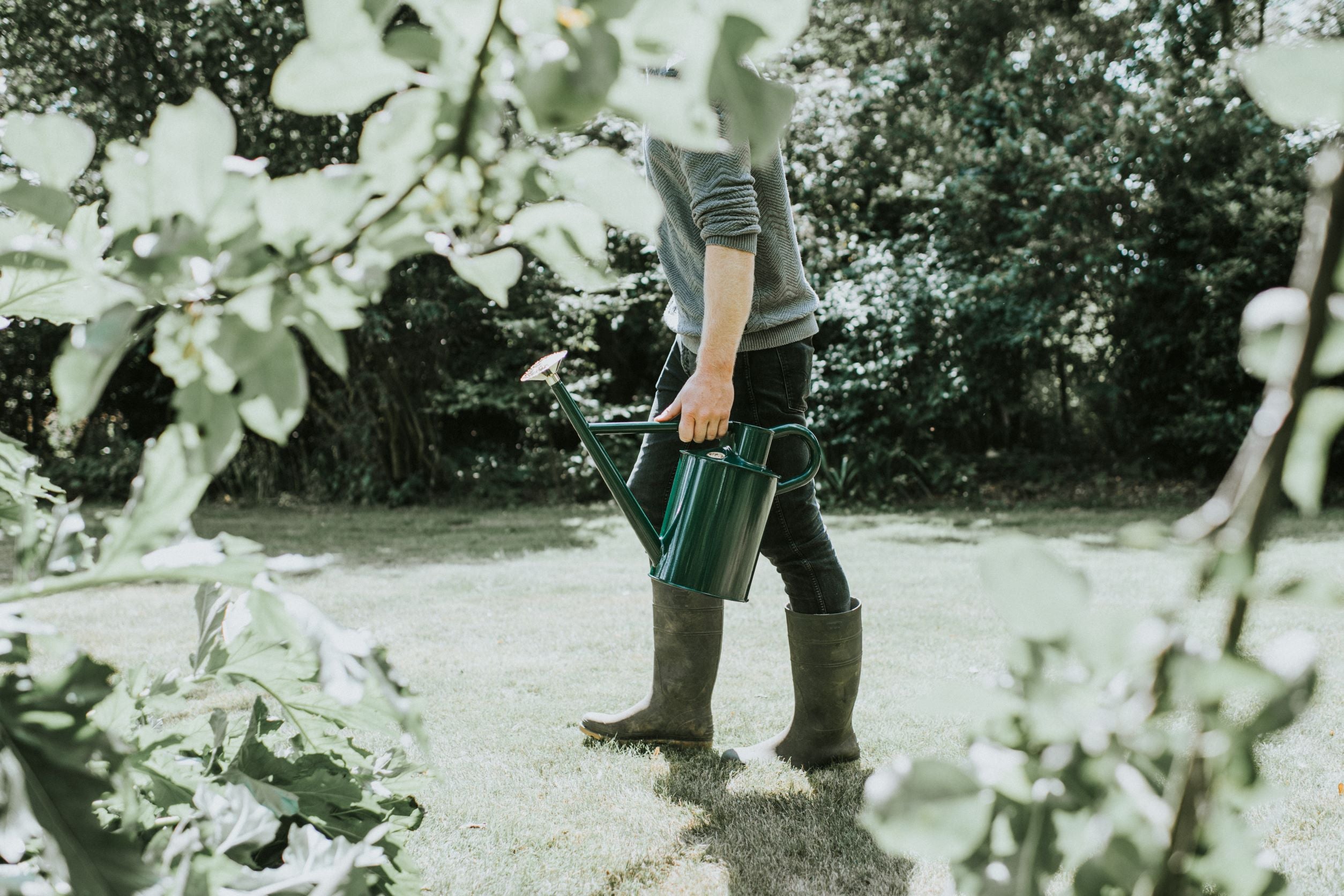 The Warley Fall & Bearwood Brook - Balanced Pair - Two Gallon