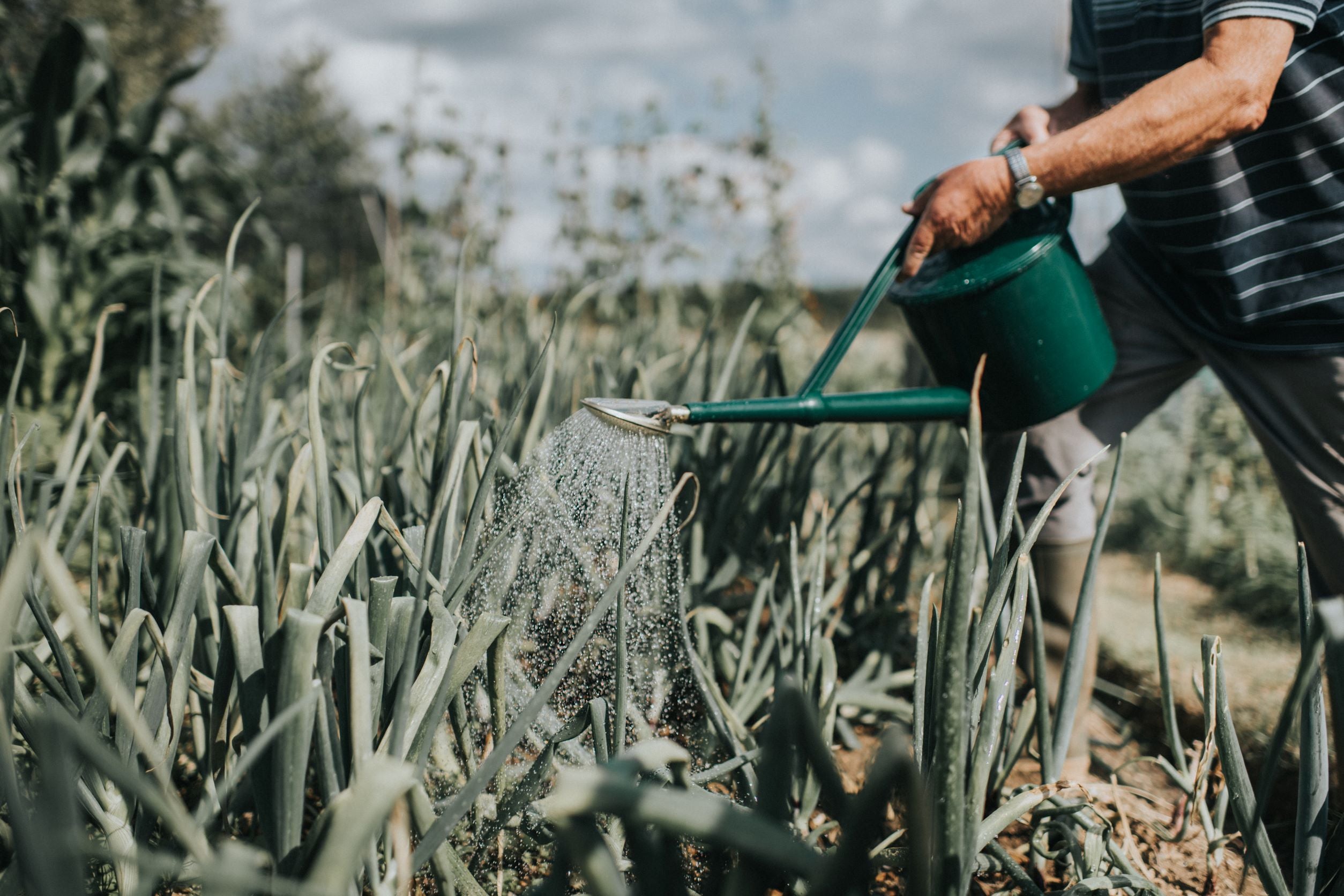 The Cradley Deluxe - Balanced Pair - One & a Half Gallon