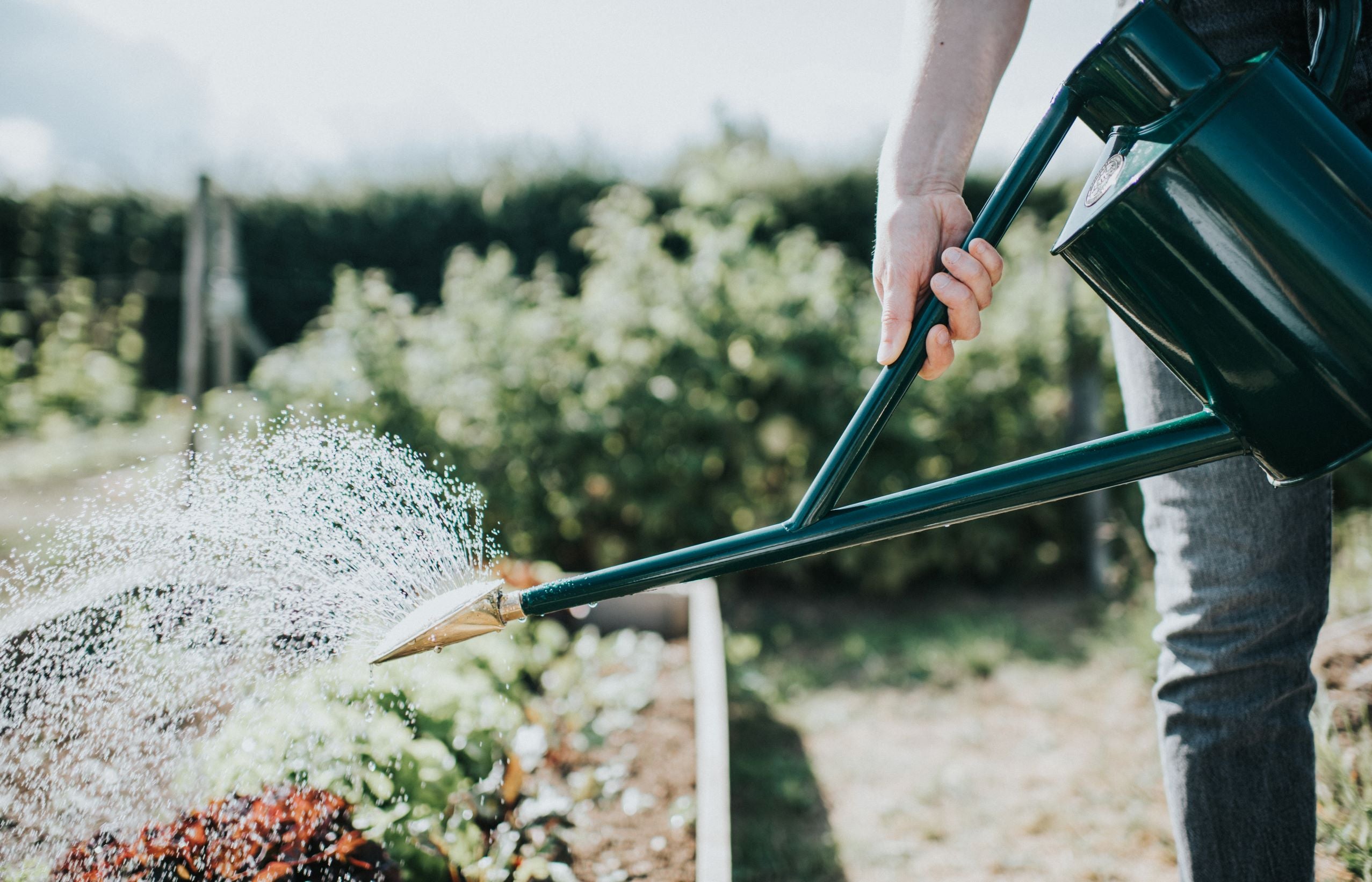 The Warley - Fall Balanced Pair - Two Gallon