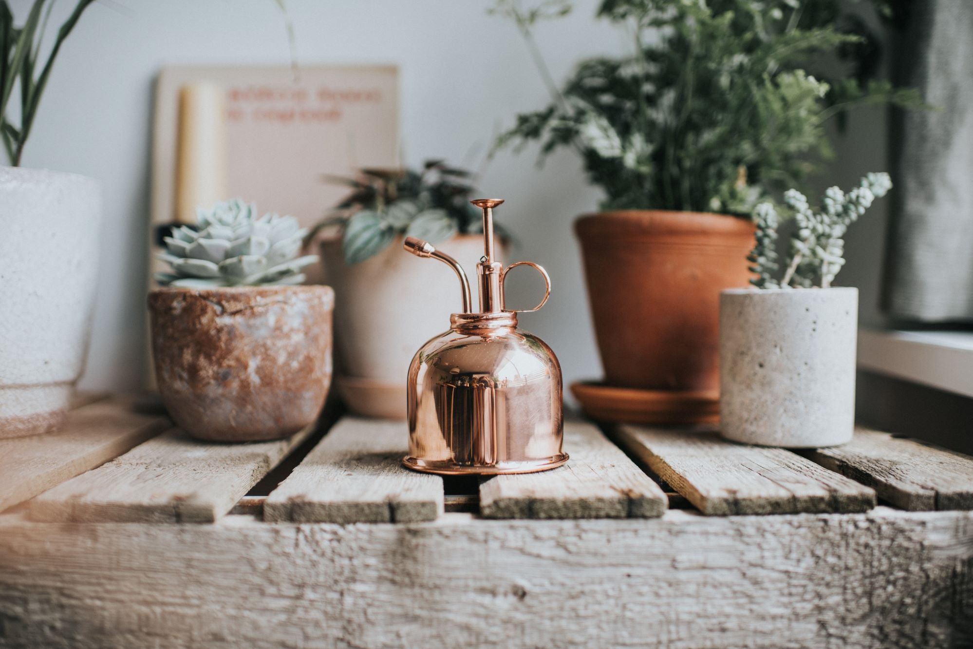 The Rowley Ripple - Houseplant Set - Copper - Two Pint