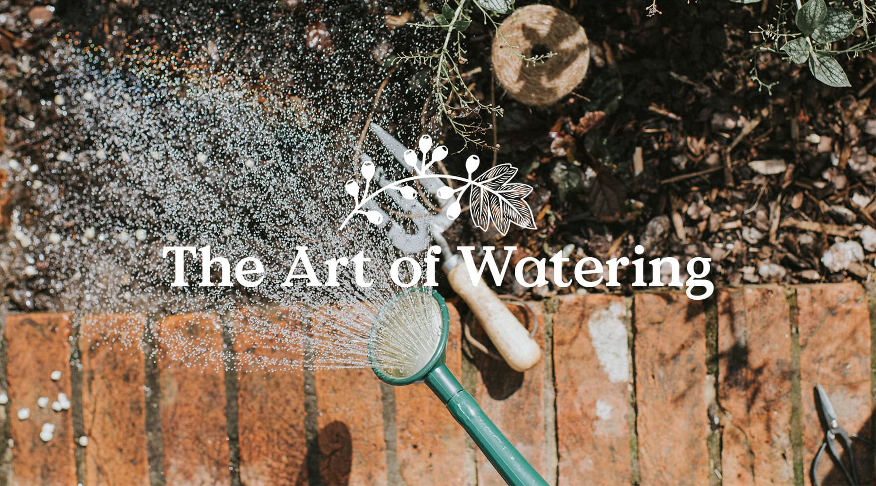 The art of watering